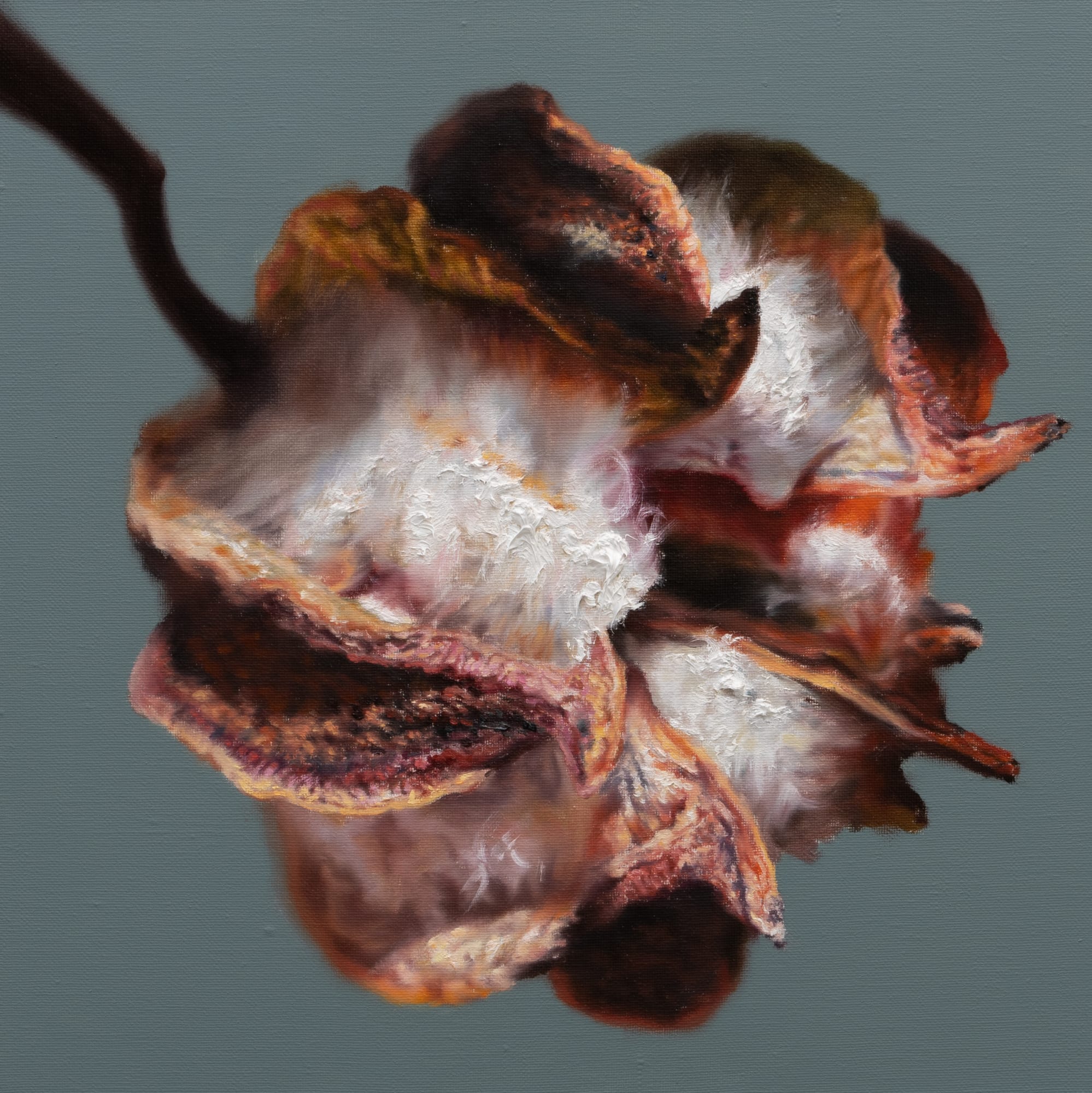 Kang Kang Hoon Cotton, 2025 Oil on canvas 40 x 40 cm $3,500 USD