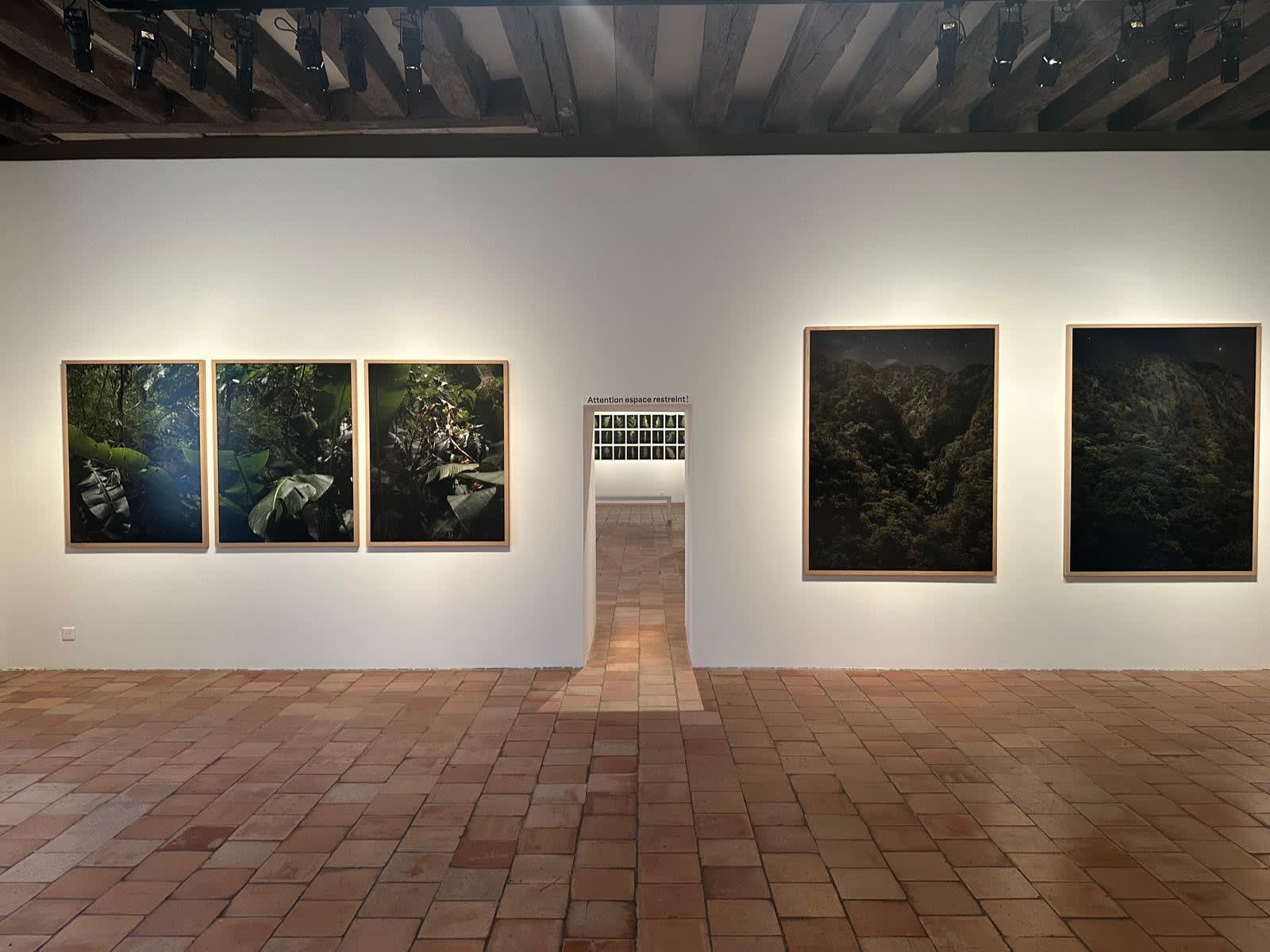 Pierre, Feuille, silex, Jeu de Paume, Tours, 2024