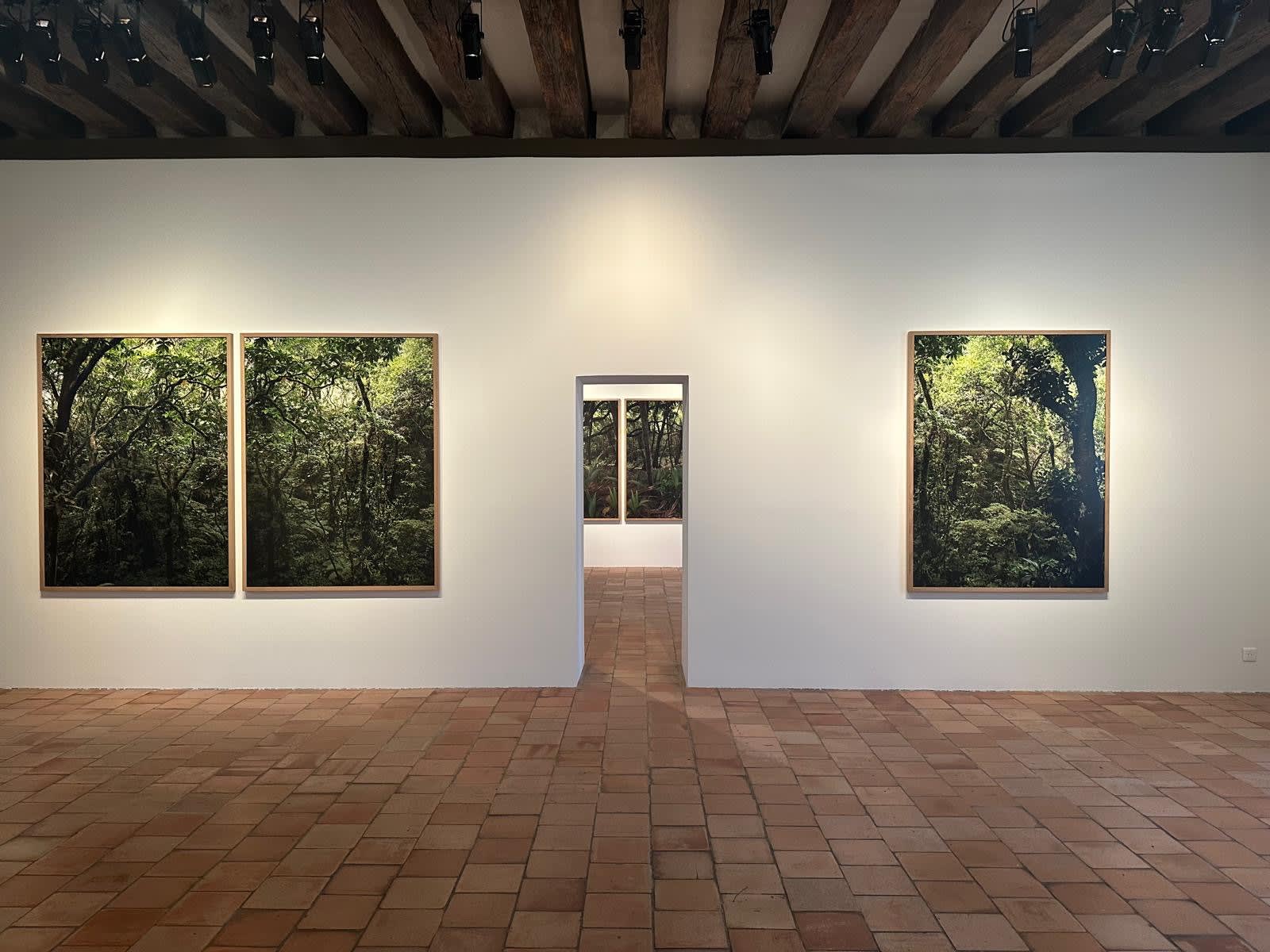 Pierre, Feuille, silex, Jeu de Paume, Tours, 2024