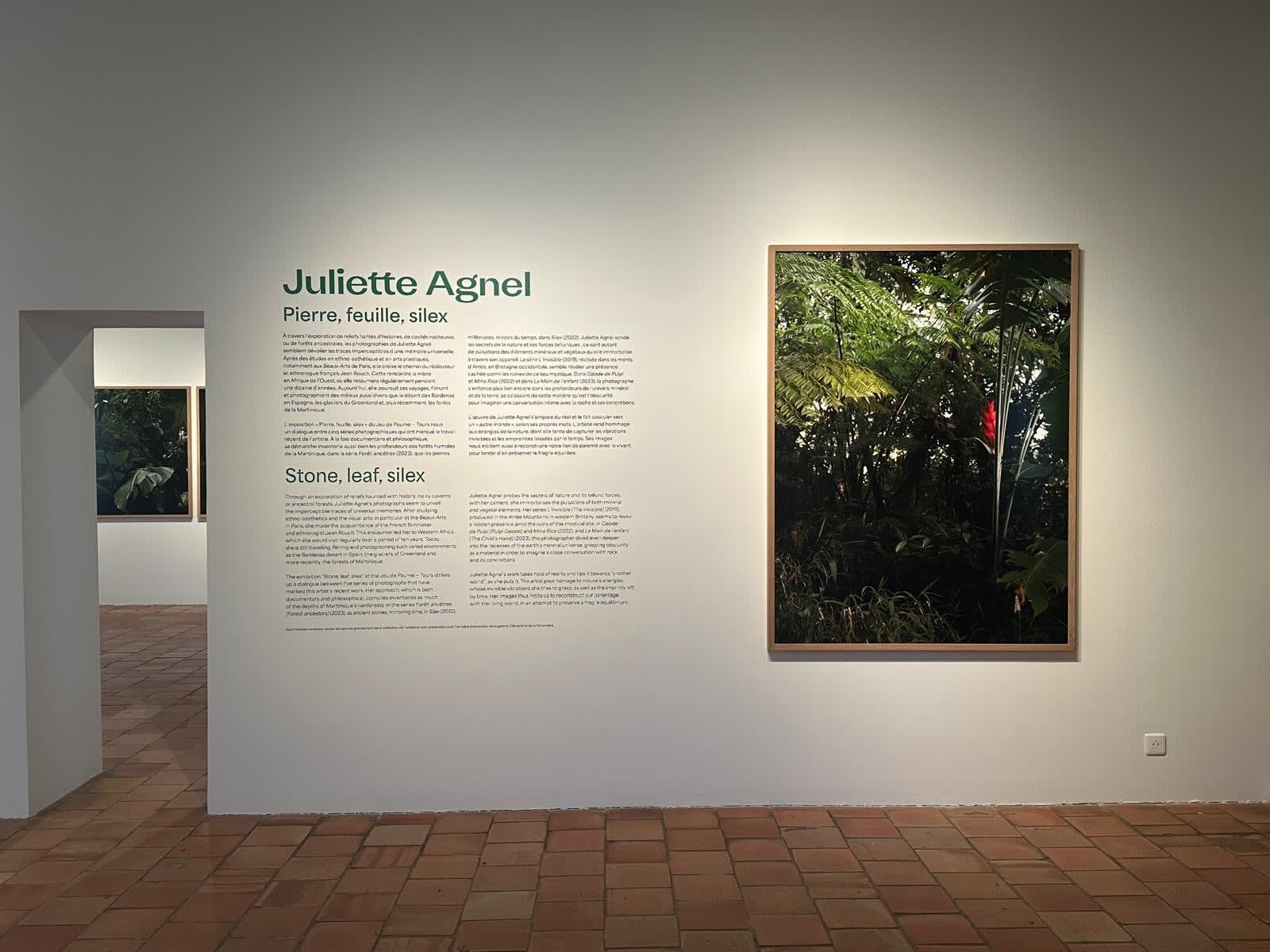Pierre, Feuille, silex, Jeu de Paume, Tours, 2024
