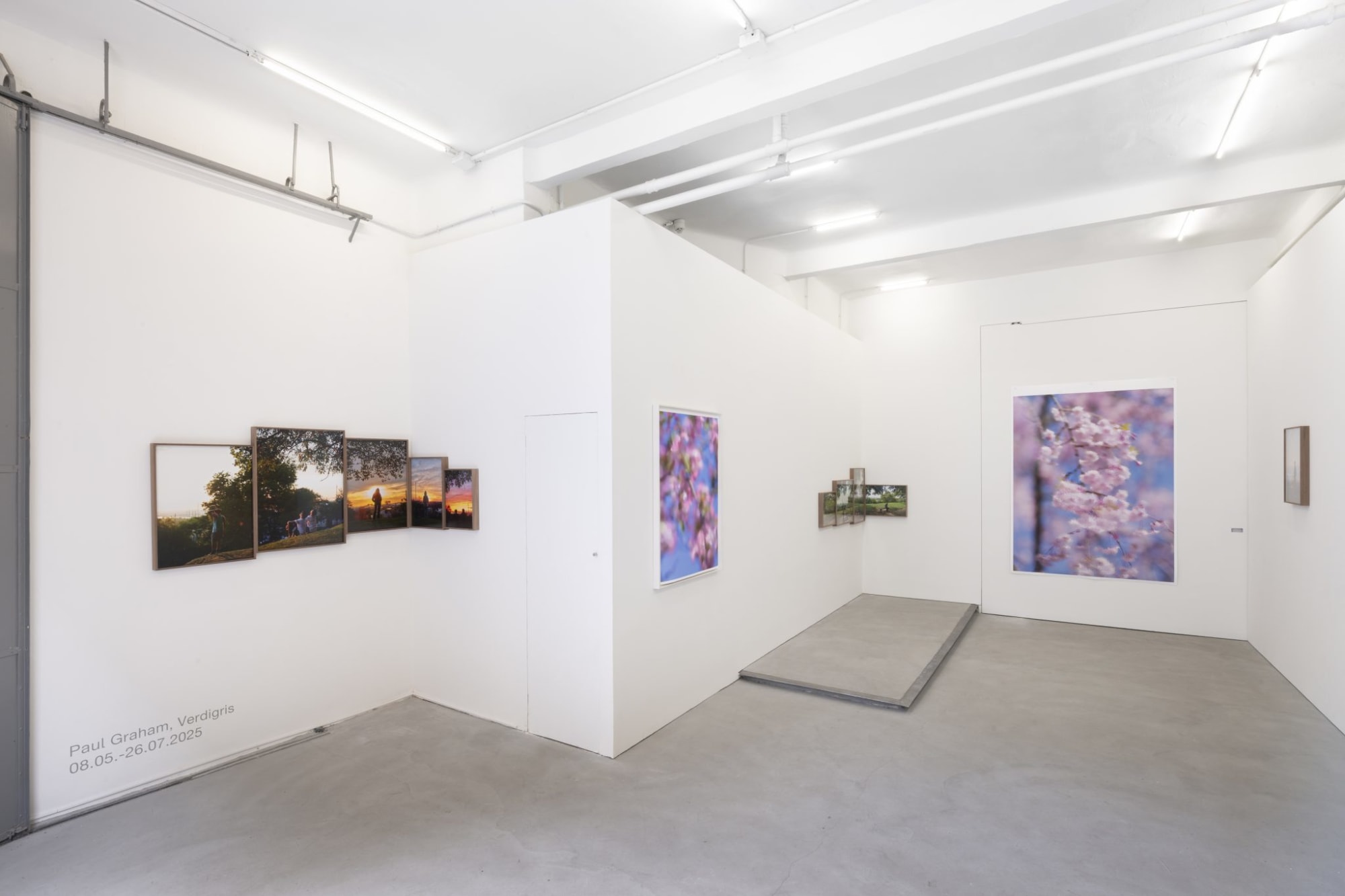 Verdigris, Carlier | Gebauer, Madrid, Espagne, 2025