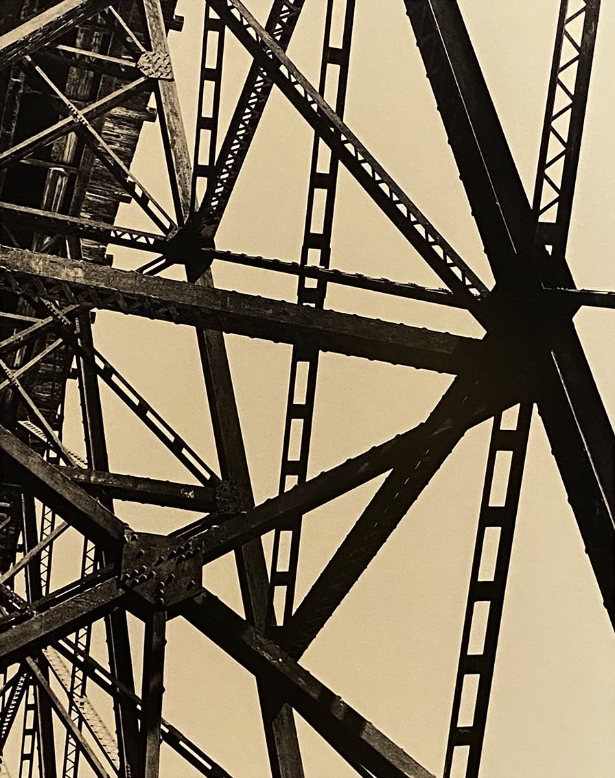 Guillaume Zuili, Under the Bridge 2, 2020 Série "Urban Jungle" Tirage lith, 40 x 50 cm