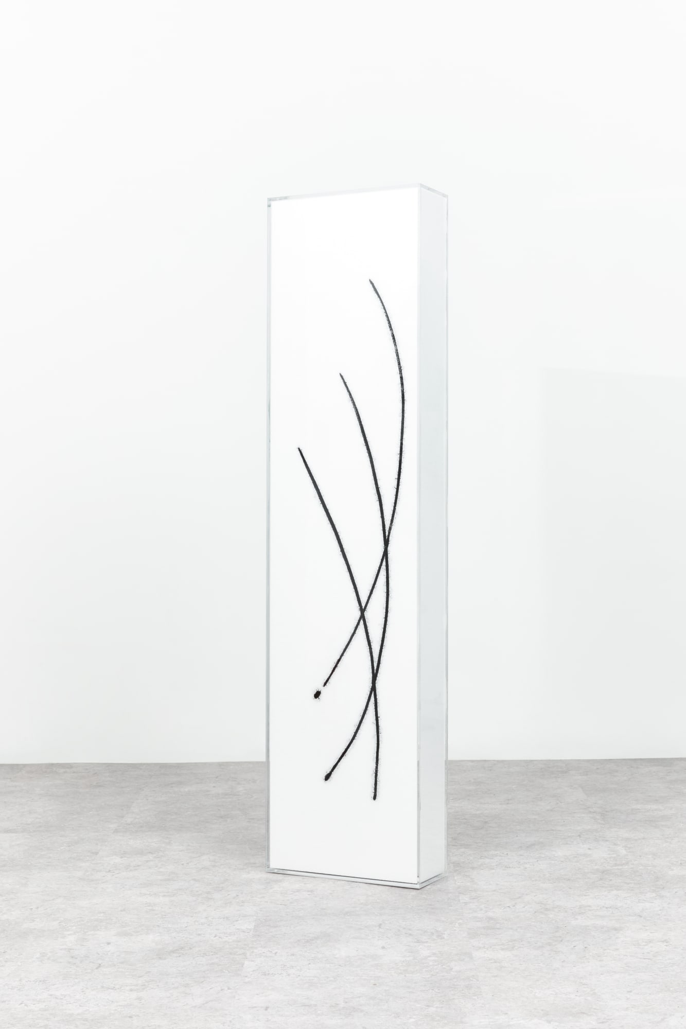 Pr6, styrofoam on acrylic, 40x25x170cm, 2022