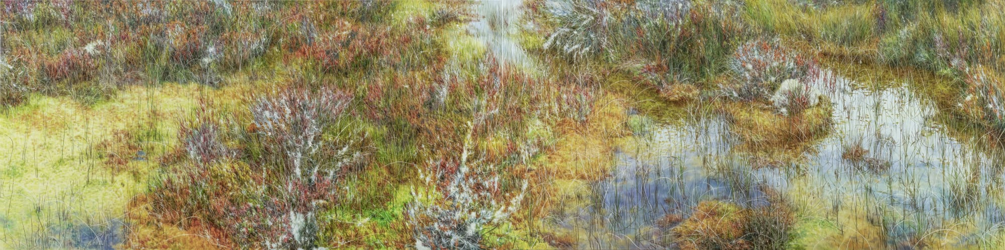 Untitled 4651, oil on canvas, 100x400cm, 2021