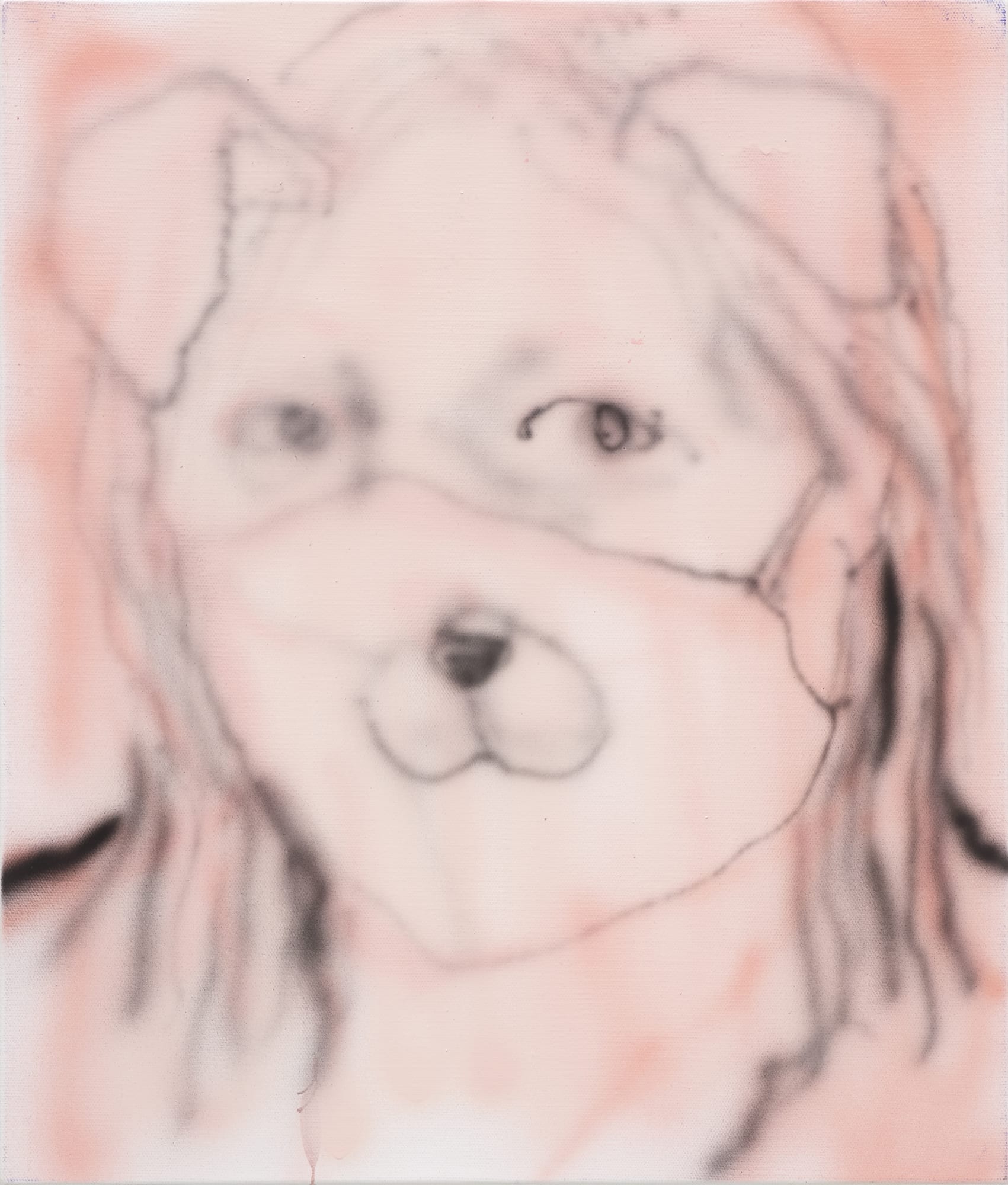Puppied, acrylic on canvas, 53.0x45.5cm, 2020