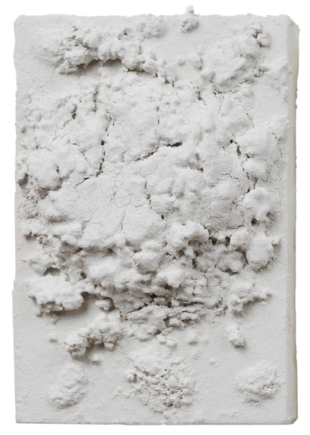 Bosco Sodi