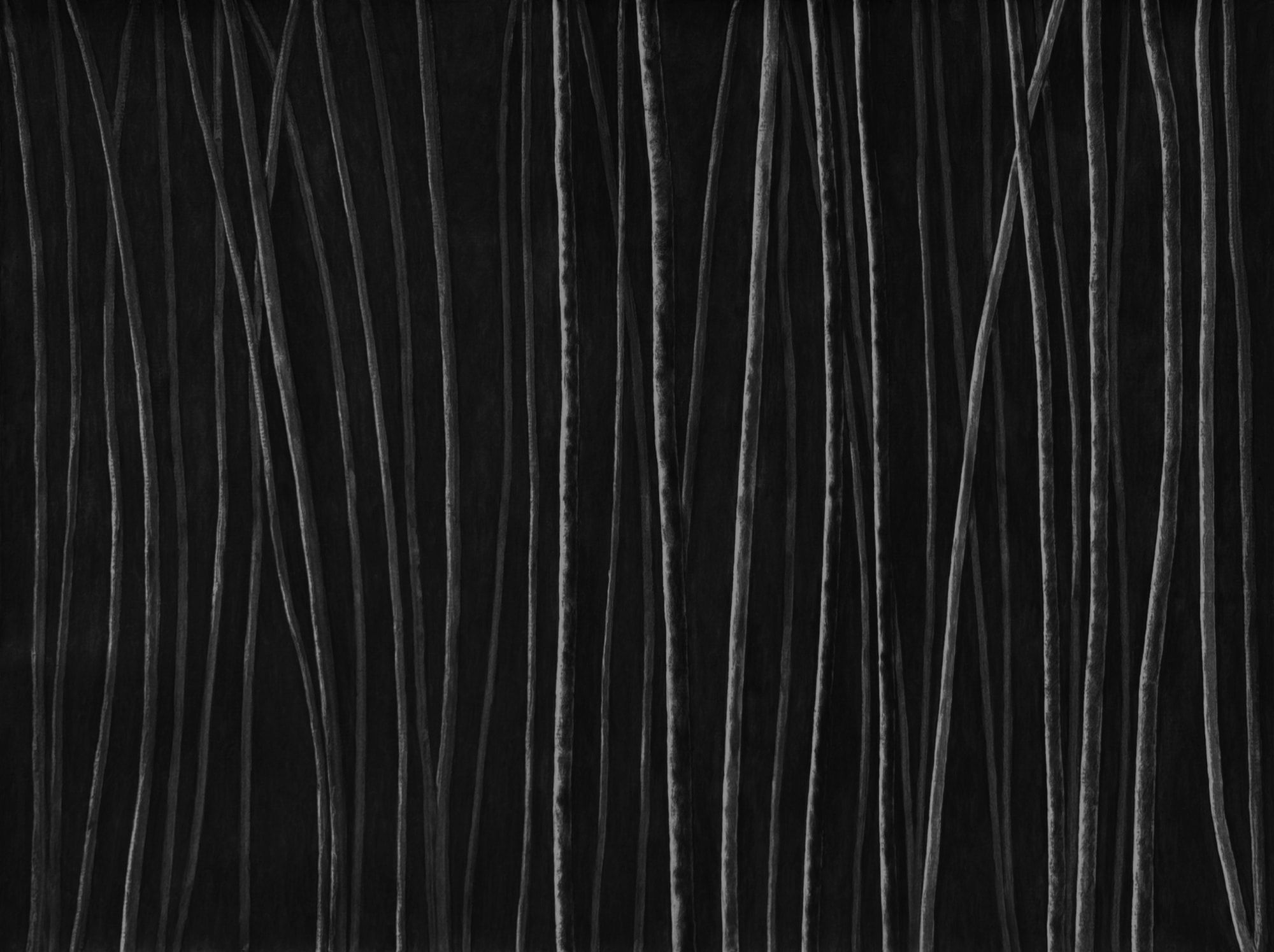 Untitled, charcoal on paper, 153 x 200 cm, 2025
