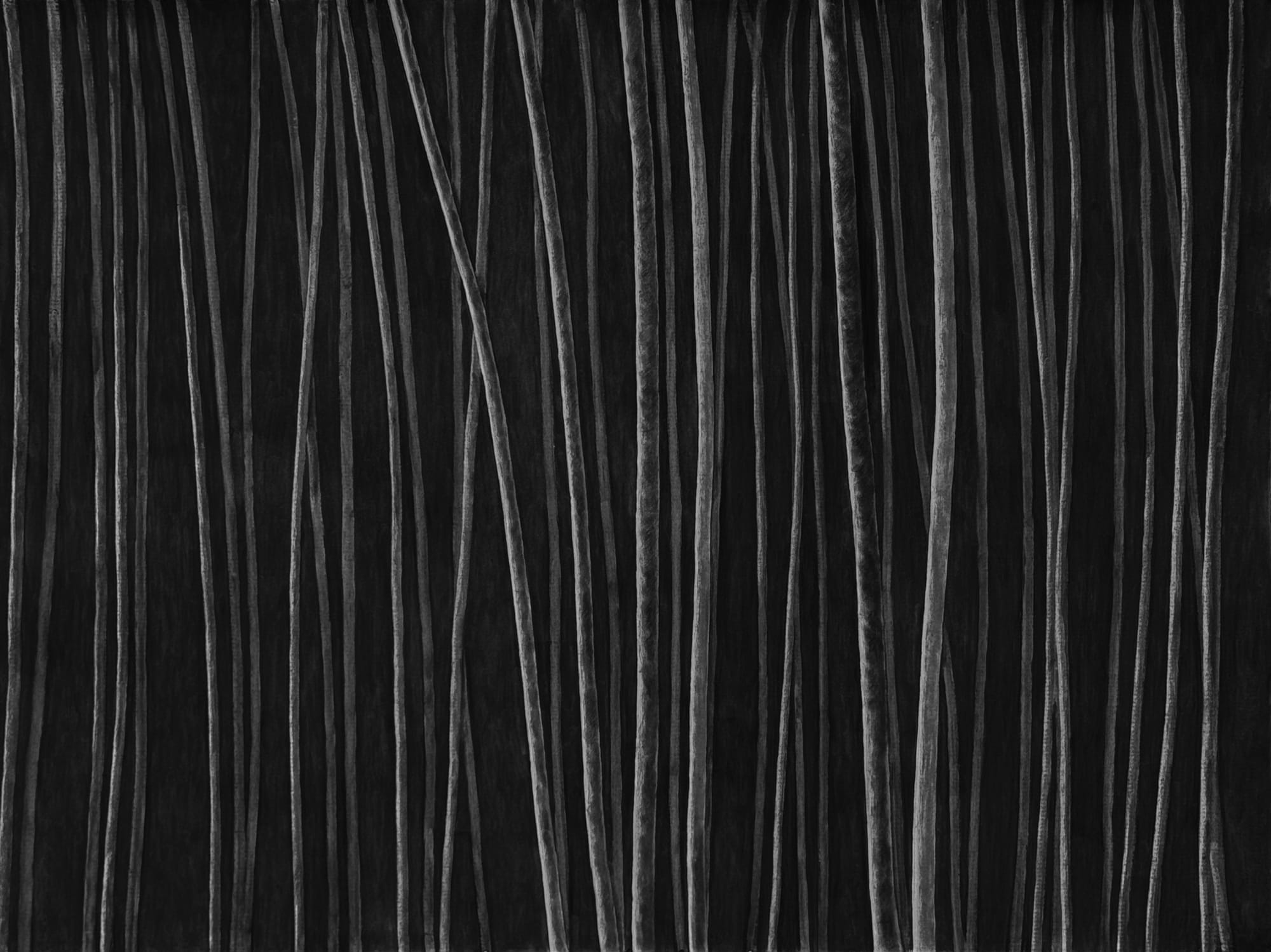 Untitled, charcoal on paper, 153 x 200 cm, 2025