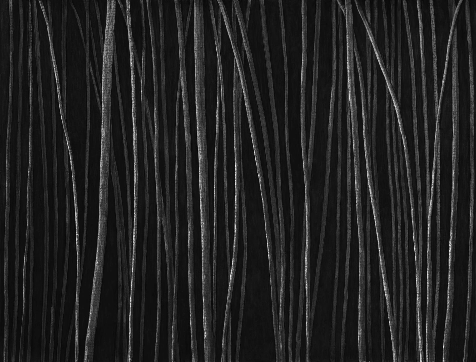 Untitled, charcoal on paper, 153 x 200 cm, 2025