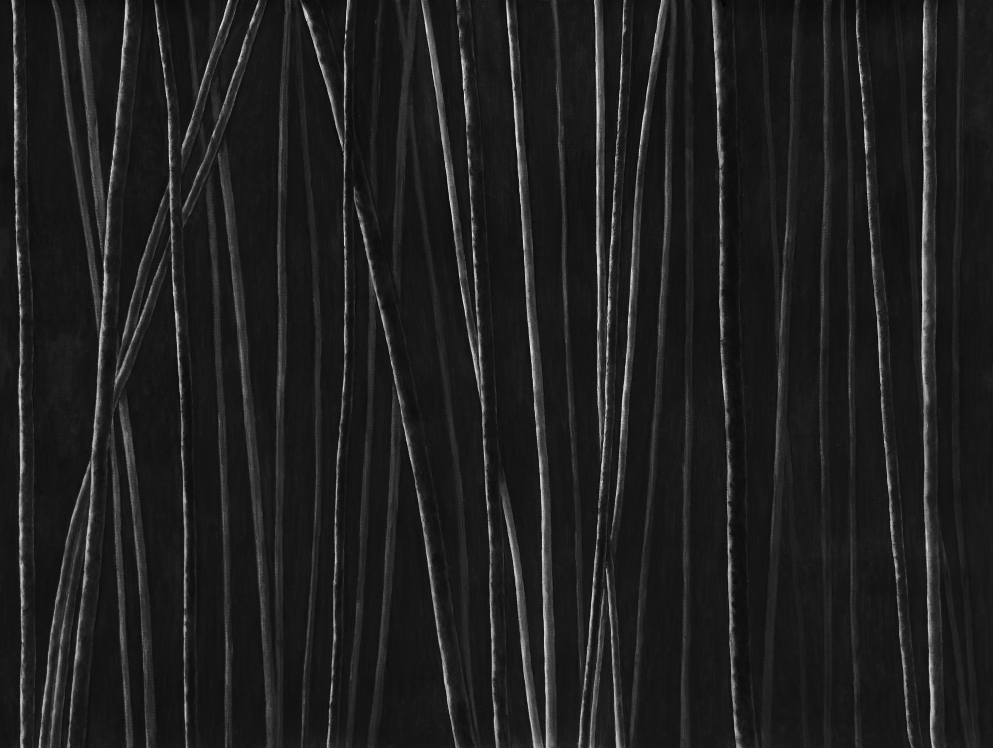 Untitled, charcoal on paper, 153 x 200 cm, 2025