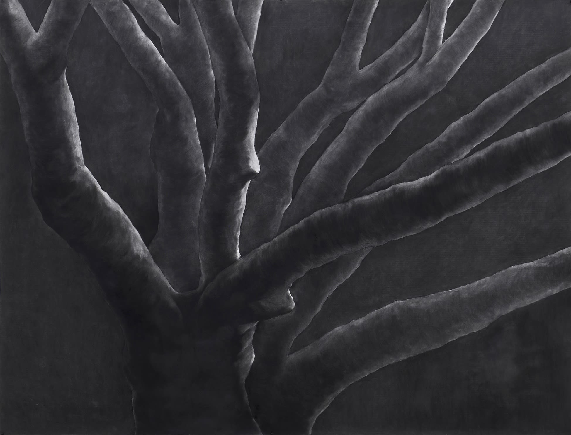 Untitled, charcoal on paper, 153 x 200 cm, 2025