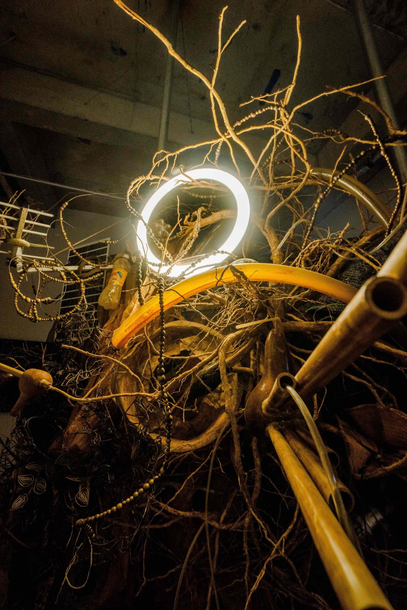 Trương Công Tùng, The Disoriented Garden… A Breath of Dream, solo exhibition at Sàn Art, Hồ Chí Minh City, Vietnam. Image courtesy of Sàn Art