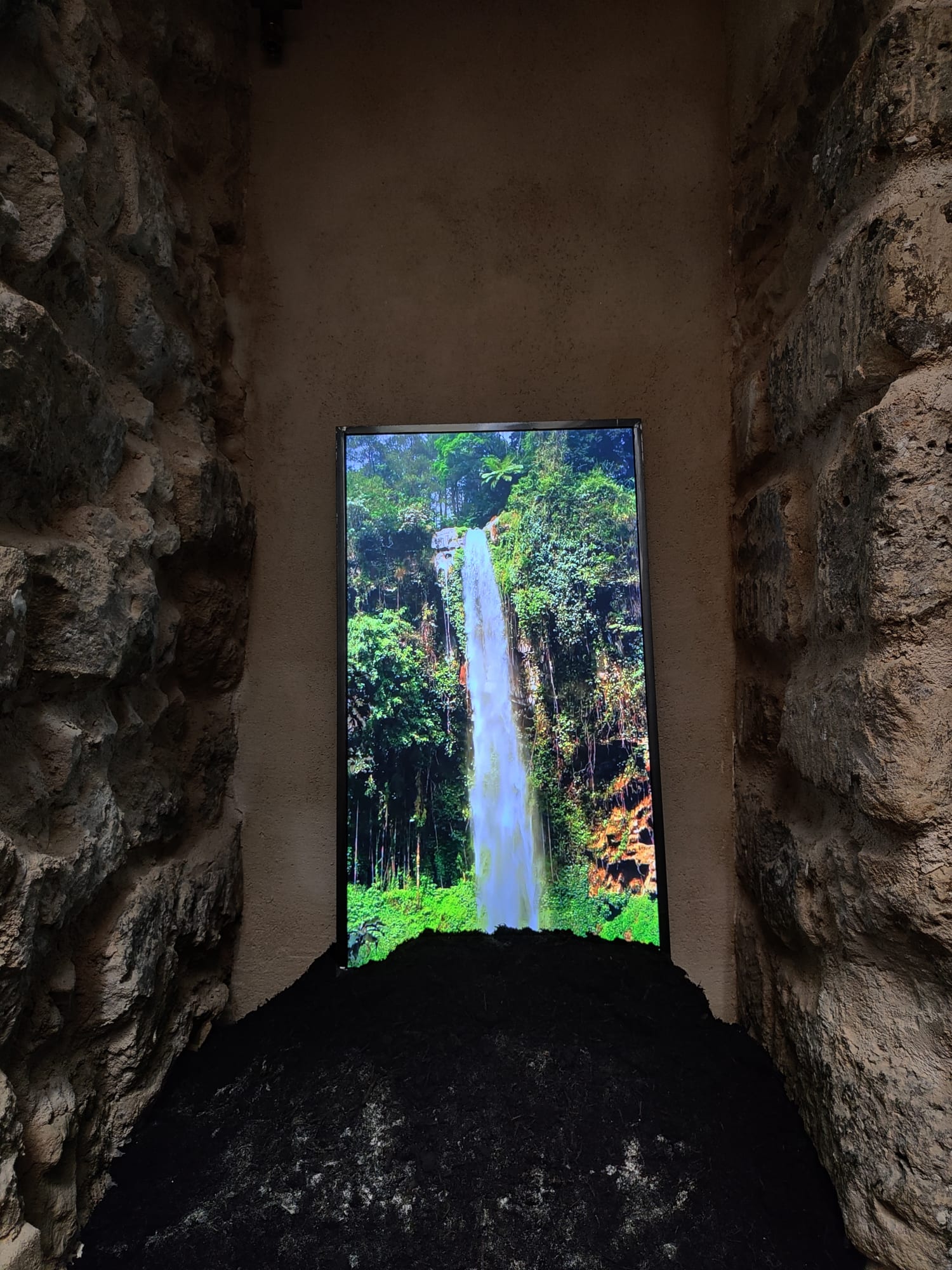 Tropical Hallucinations