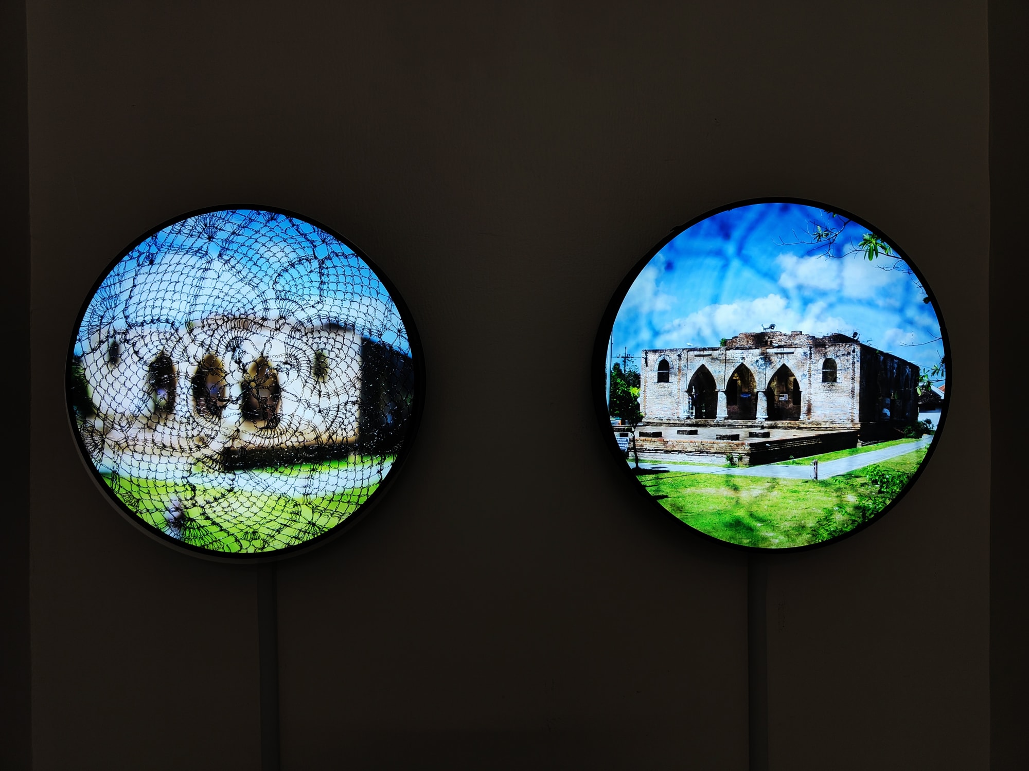 Tropical Hallucinations