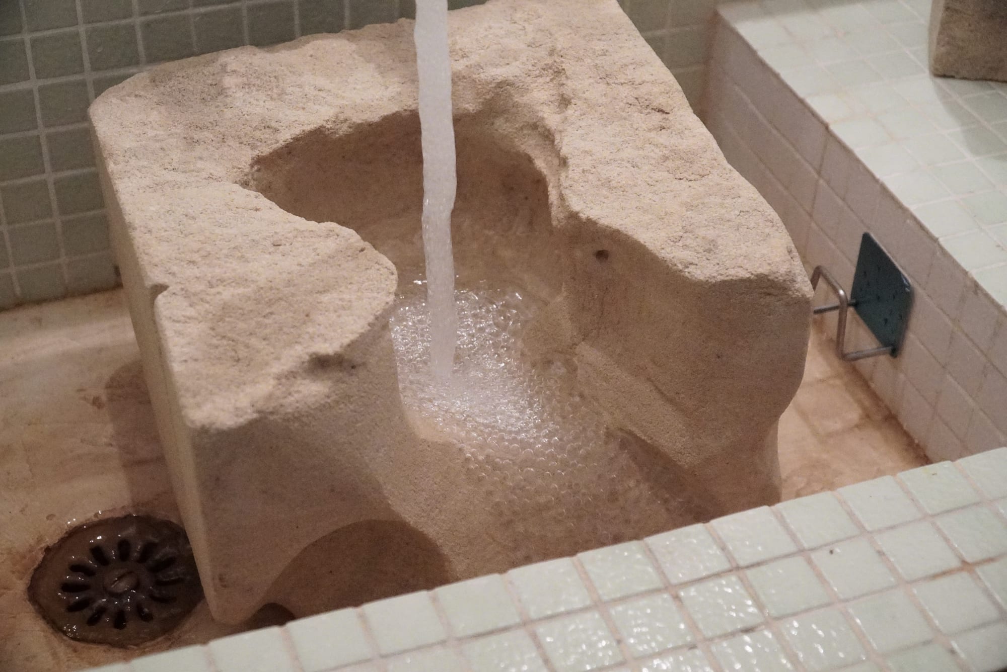 ni poisson ni chair | không ngan chẳng ngỗng