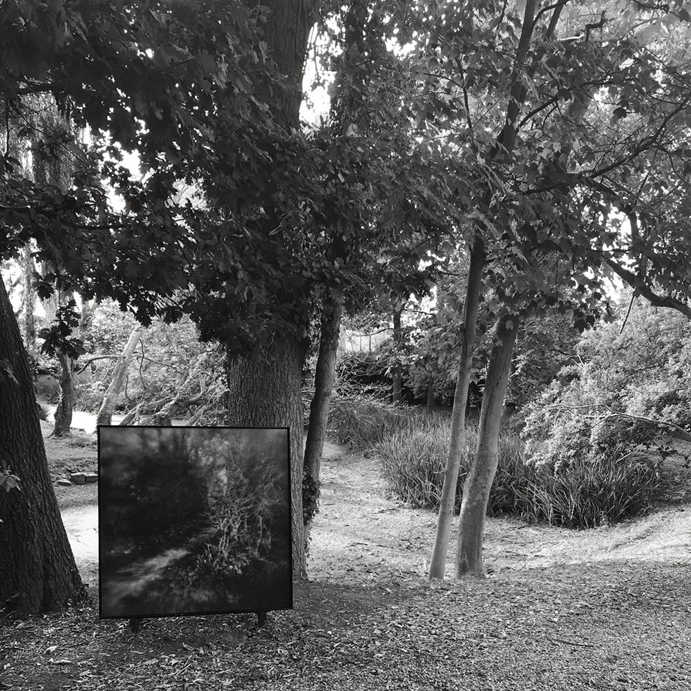 ANNEKE LAUWAERT - JEAN GODECHARLE - YUMIKO YONEDA