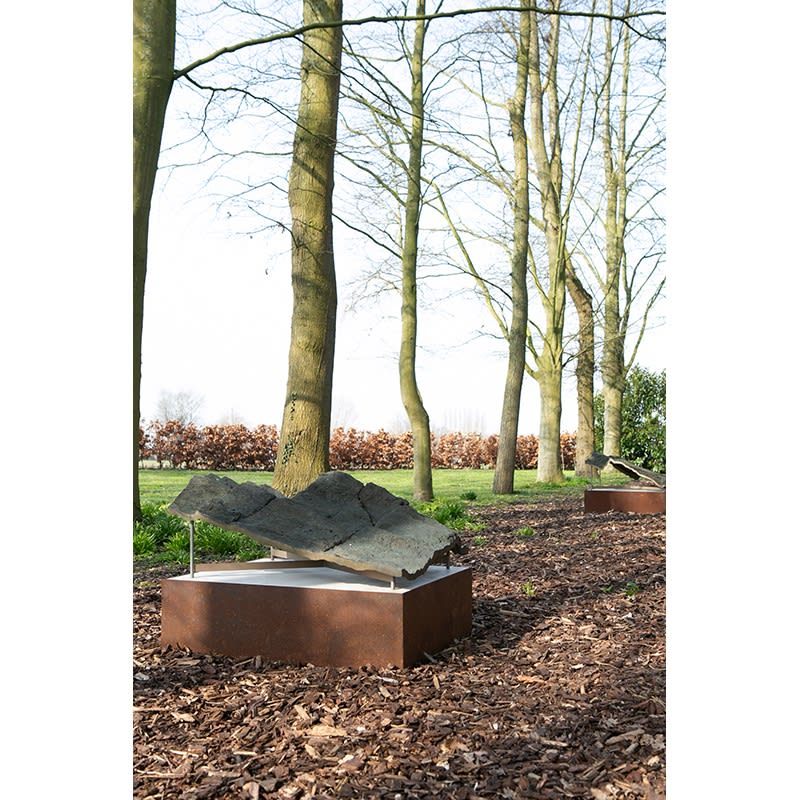 STIJN COLE - YVES VELTER