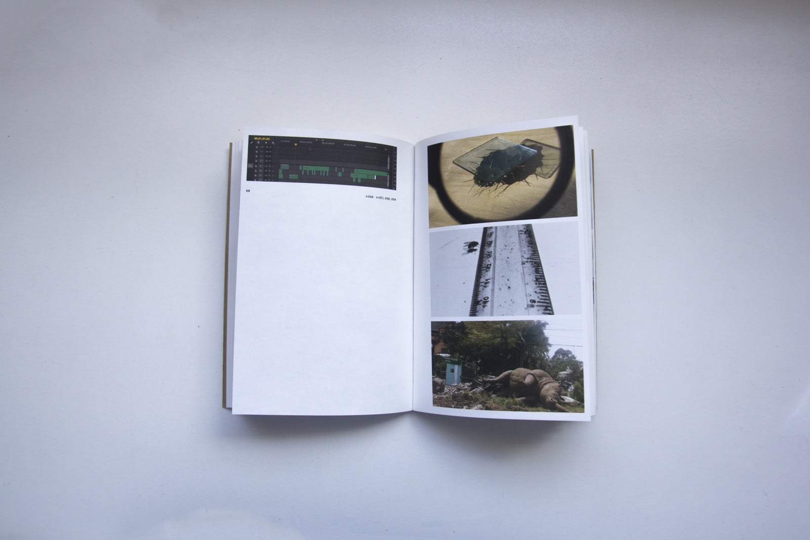 Jackie Karuti: Notes Movement Method