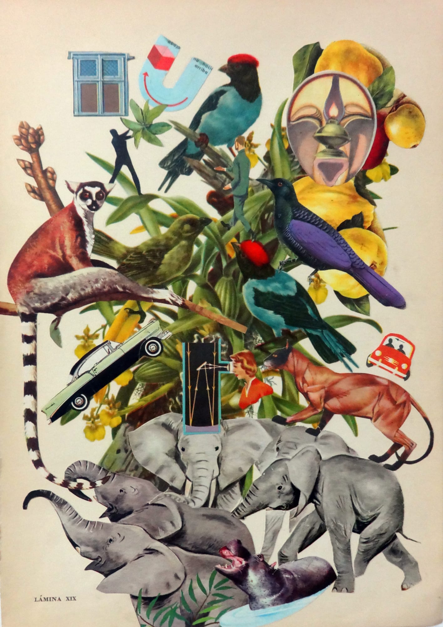 Pájaros de amuchástegui