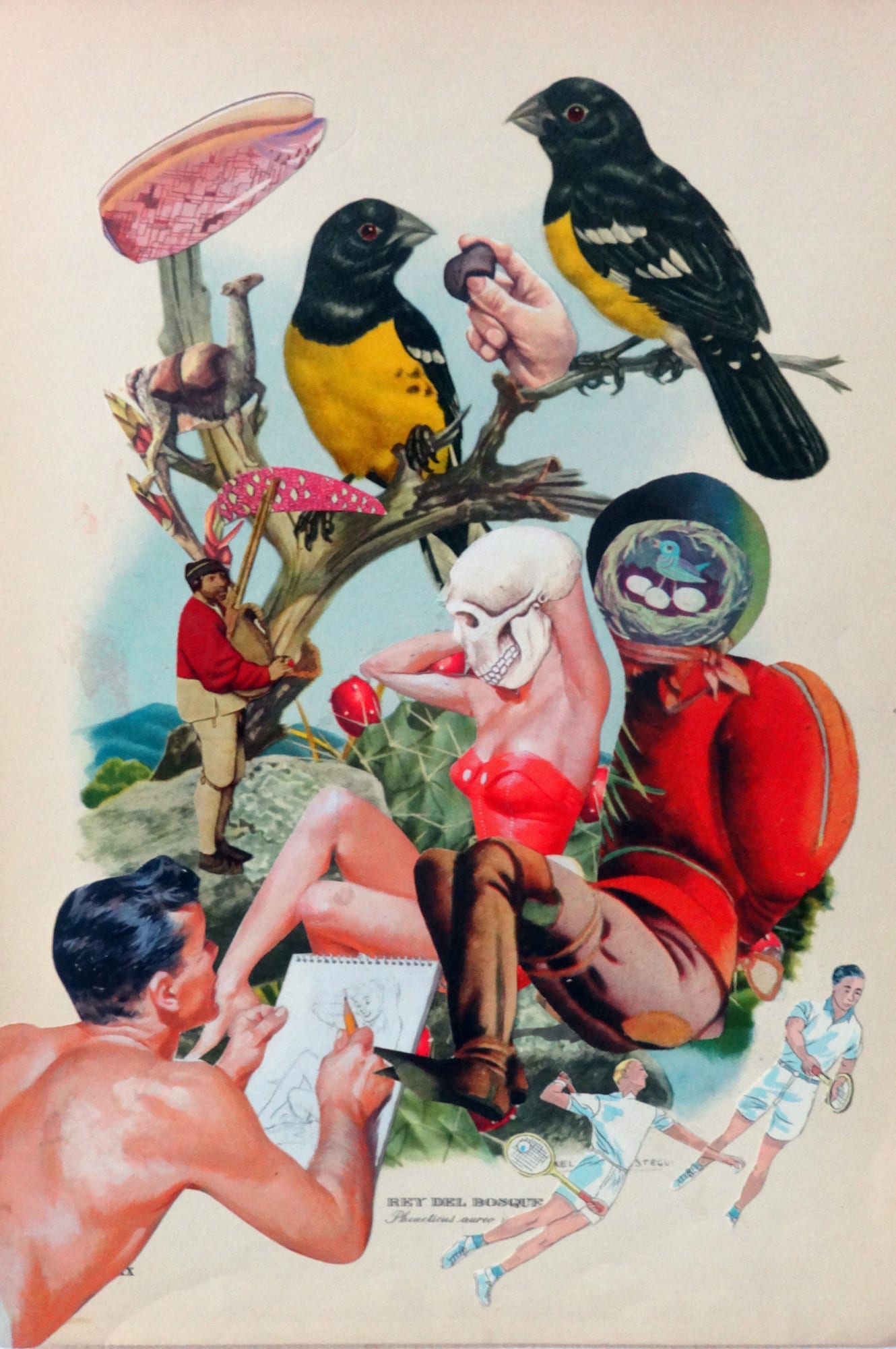 Pájaros de amuchástegui