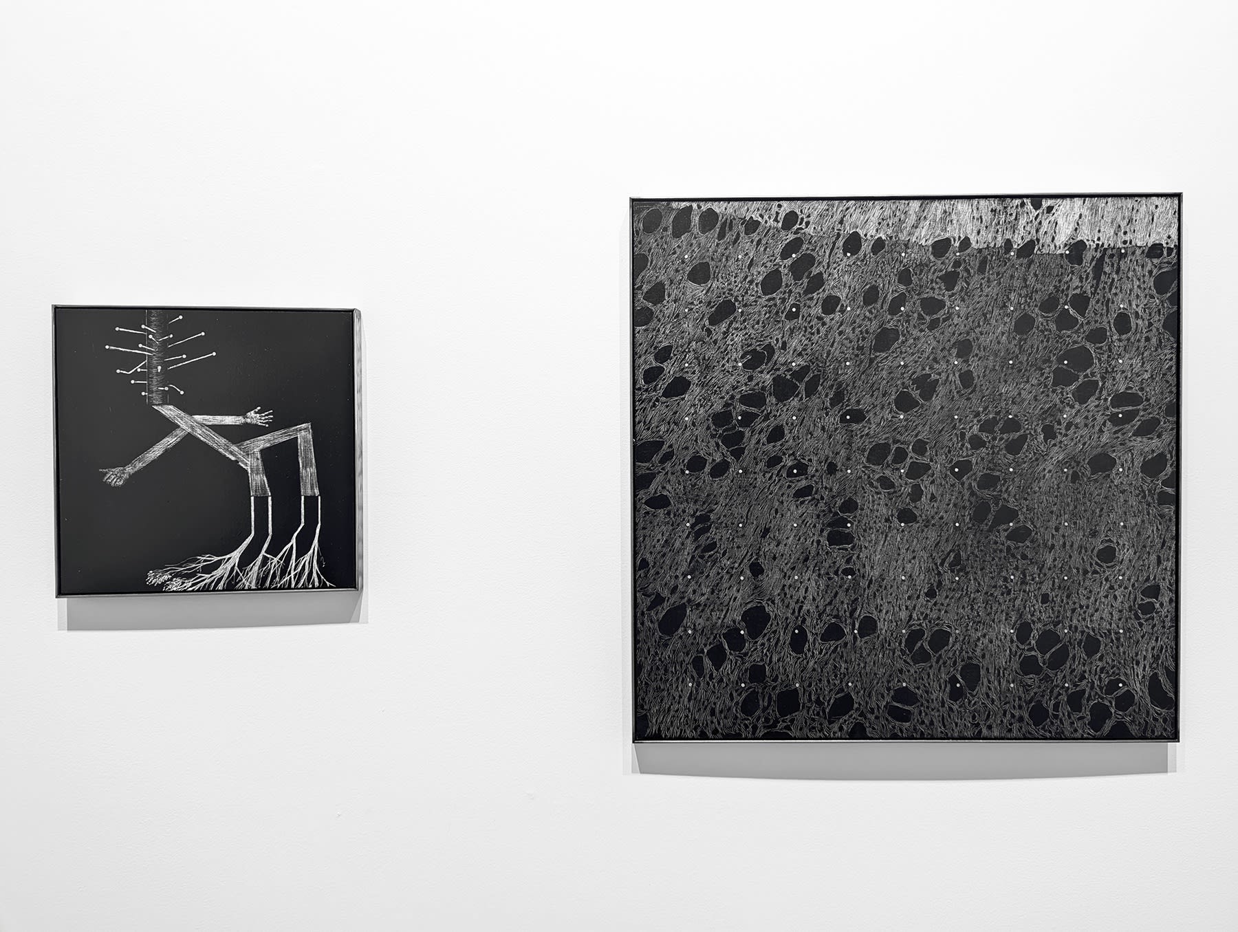 Under the shade of the Mānuka