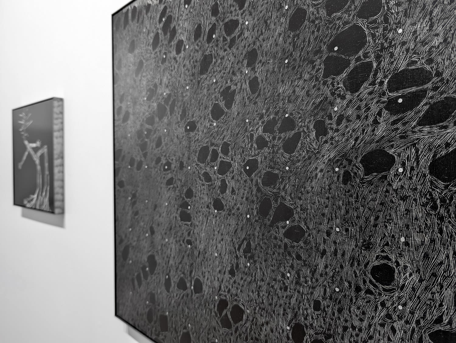 Under the shade of the Mānuka