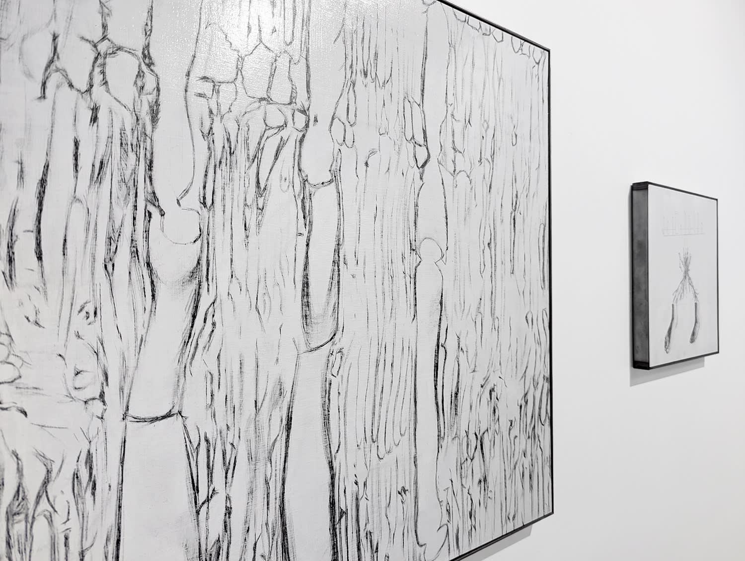 Under the shade of the Mānuka