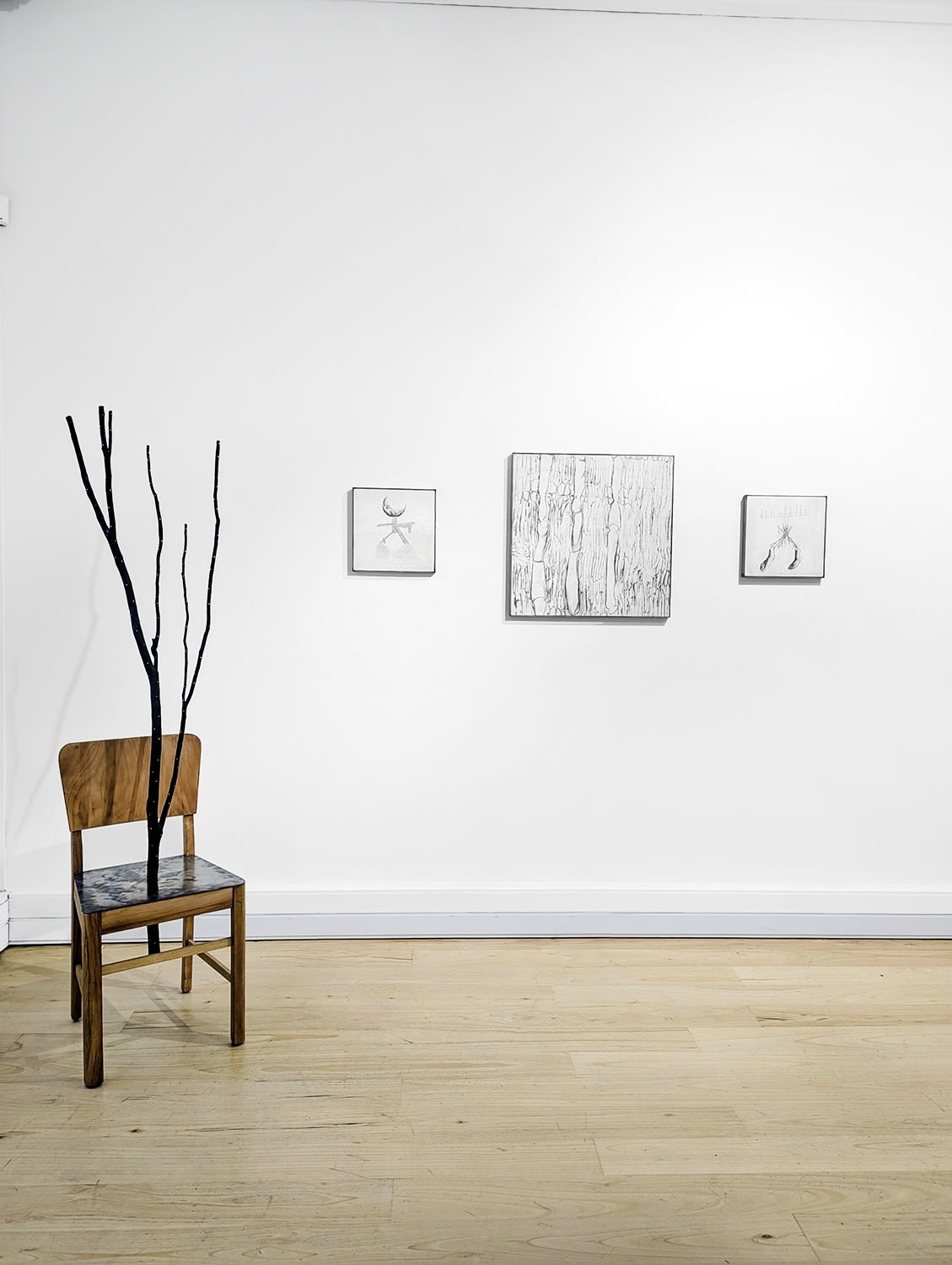 Under the shade of the Mānuka