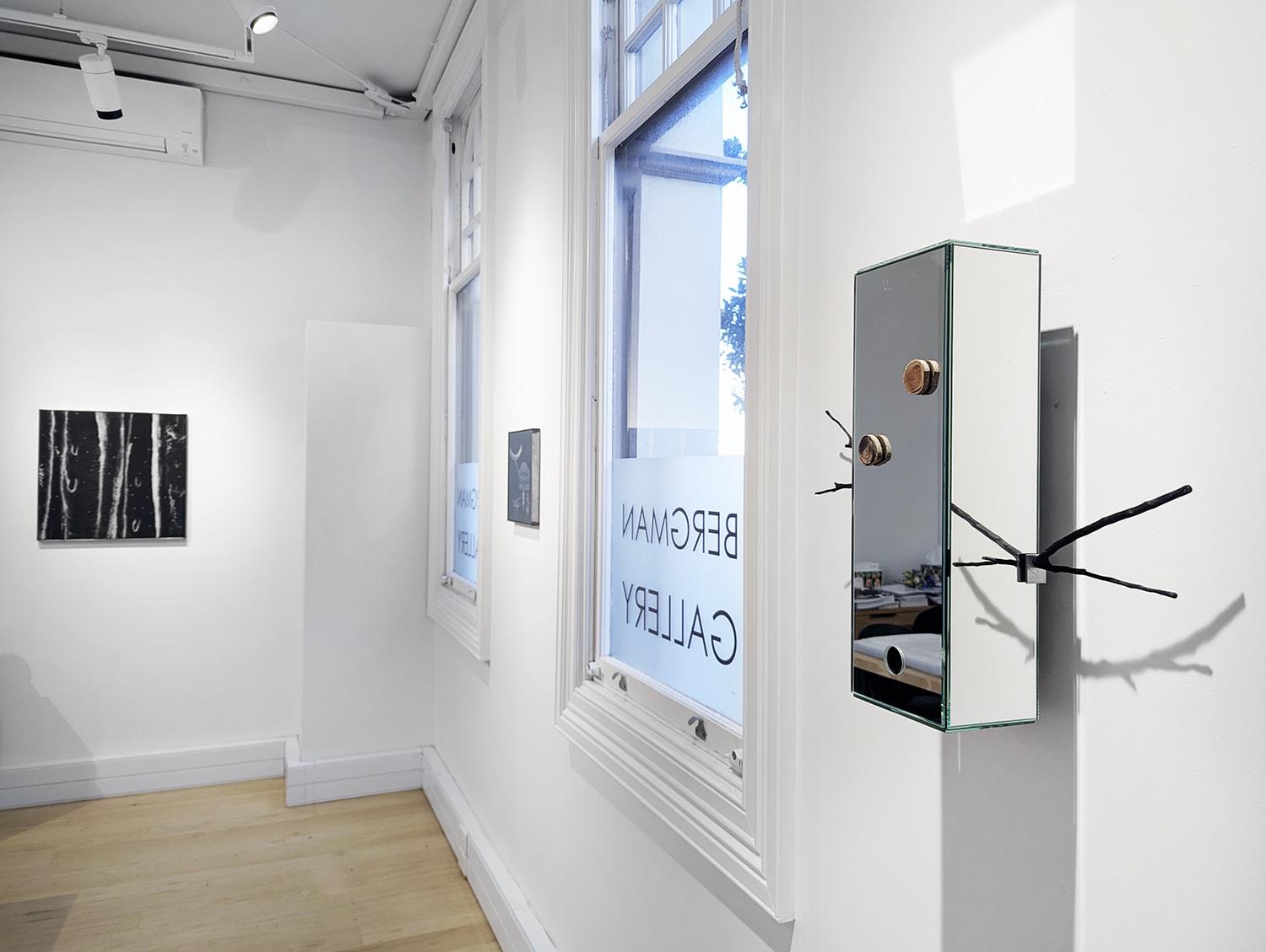 Under the shade of the Mānuka