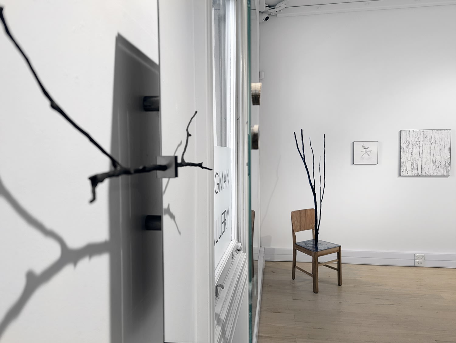 Under the shade of the Mānuka