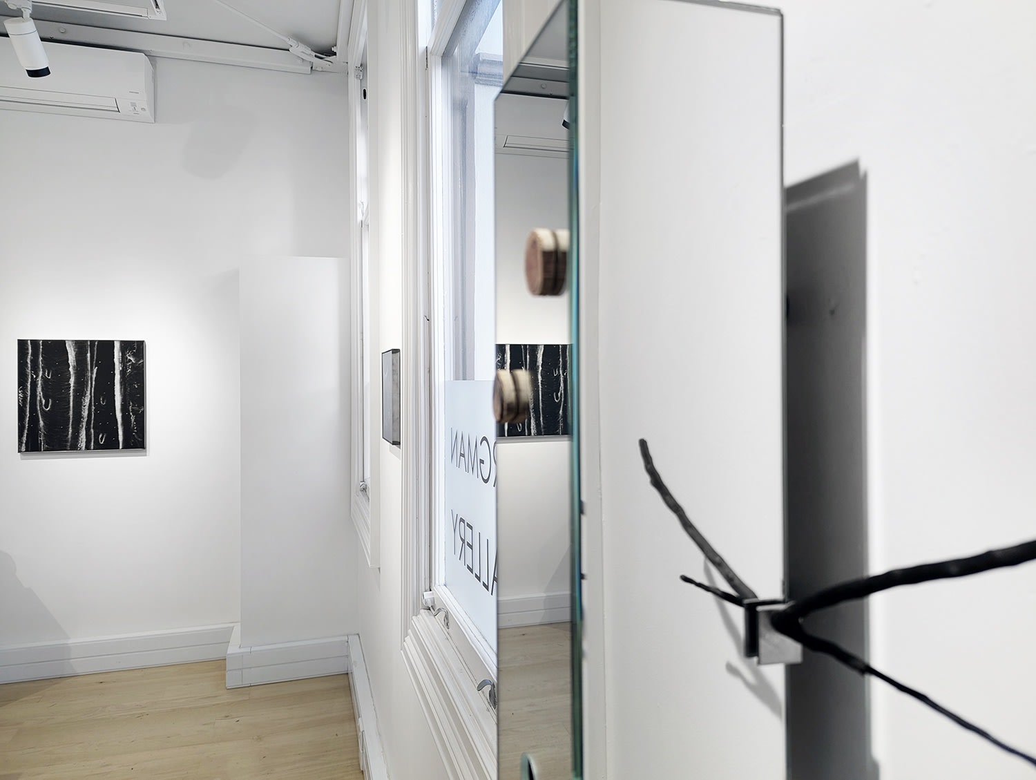 Under the shade of the Mānuka