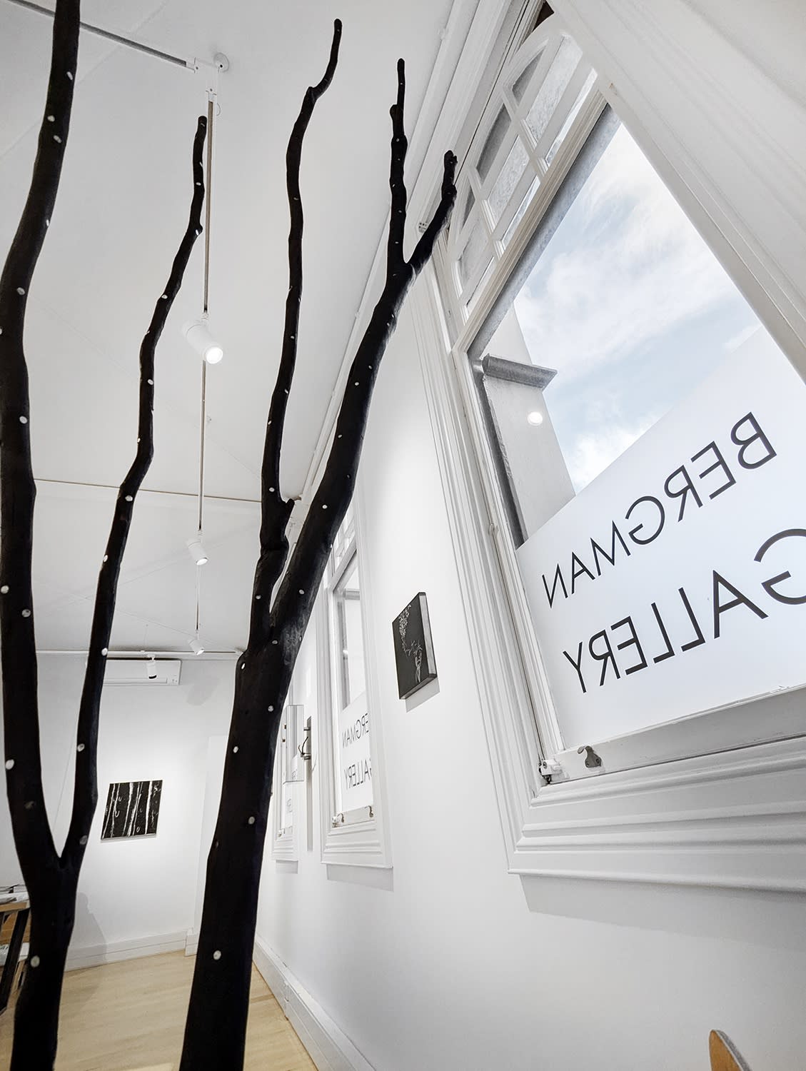 Under the shade of the Mānuka