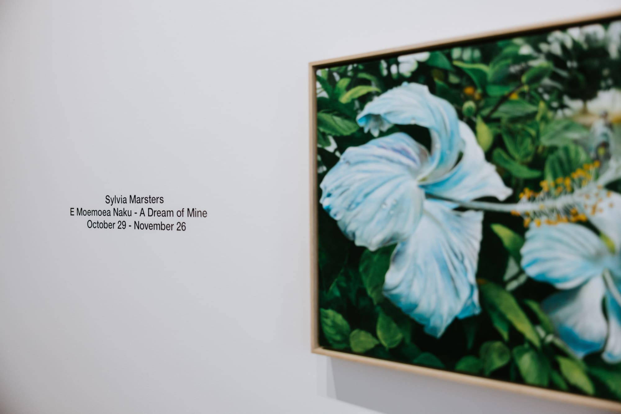 E Moemoe'a Naku - A Dream of Mine