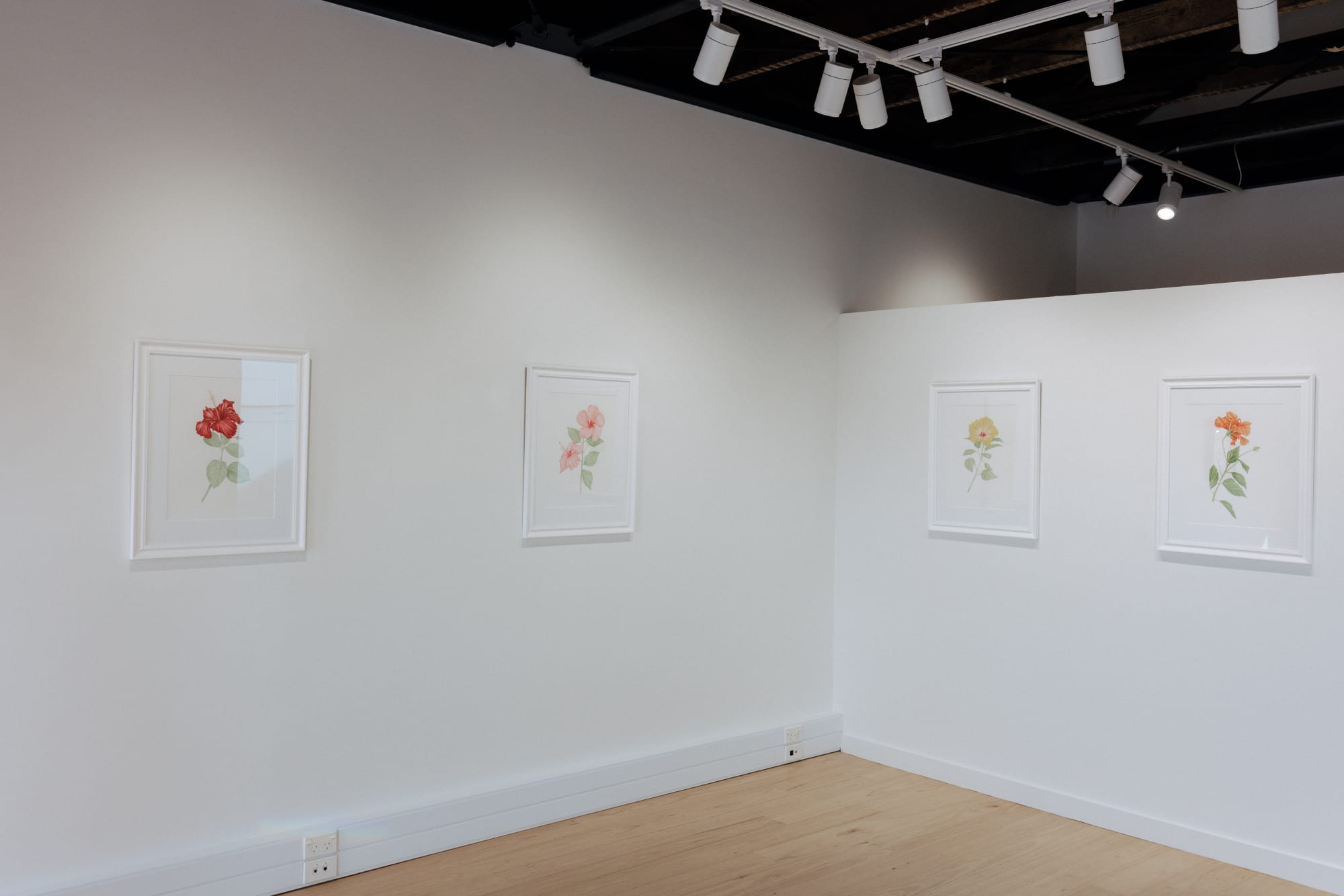 The Printed Hibiscus