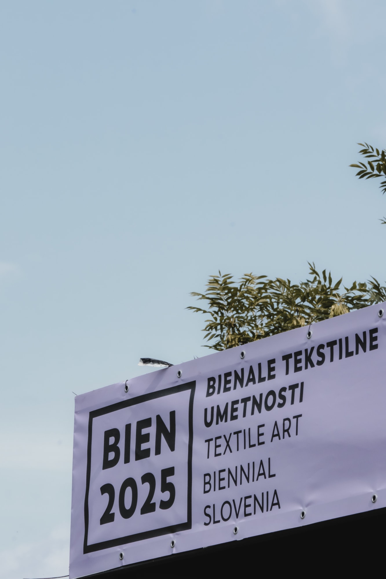 BIEN 2025 - Zrak/The Air