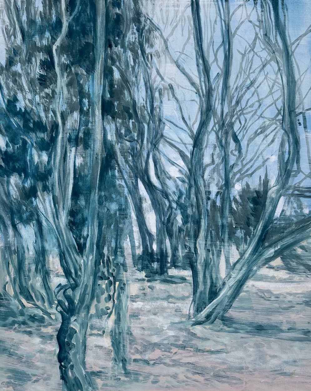 Climate Science Alliance Summit 2023