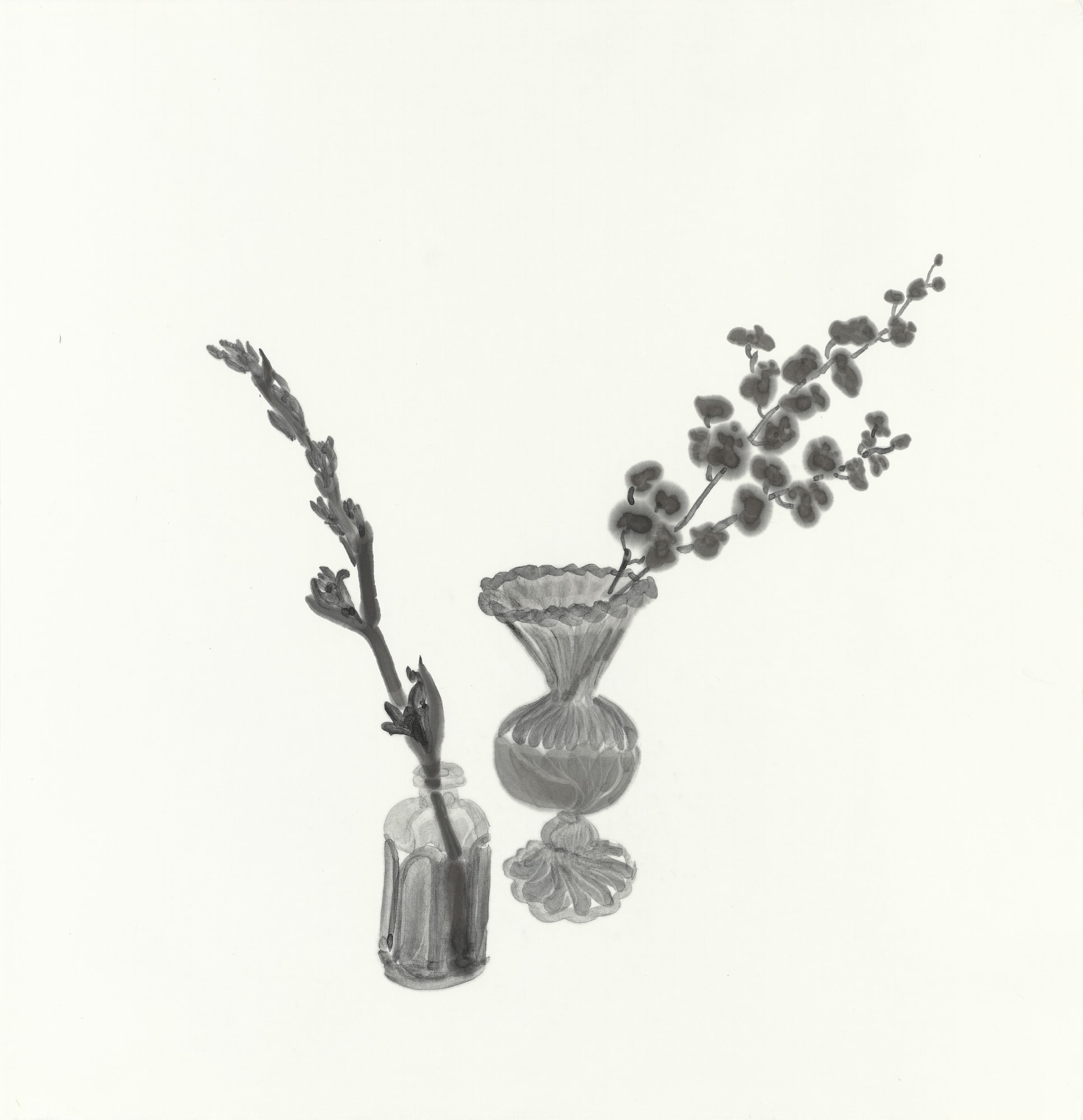 厚度為 0 的縐紗