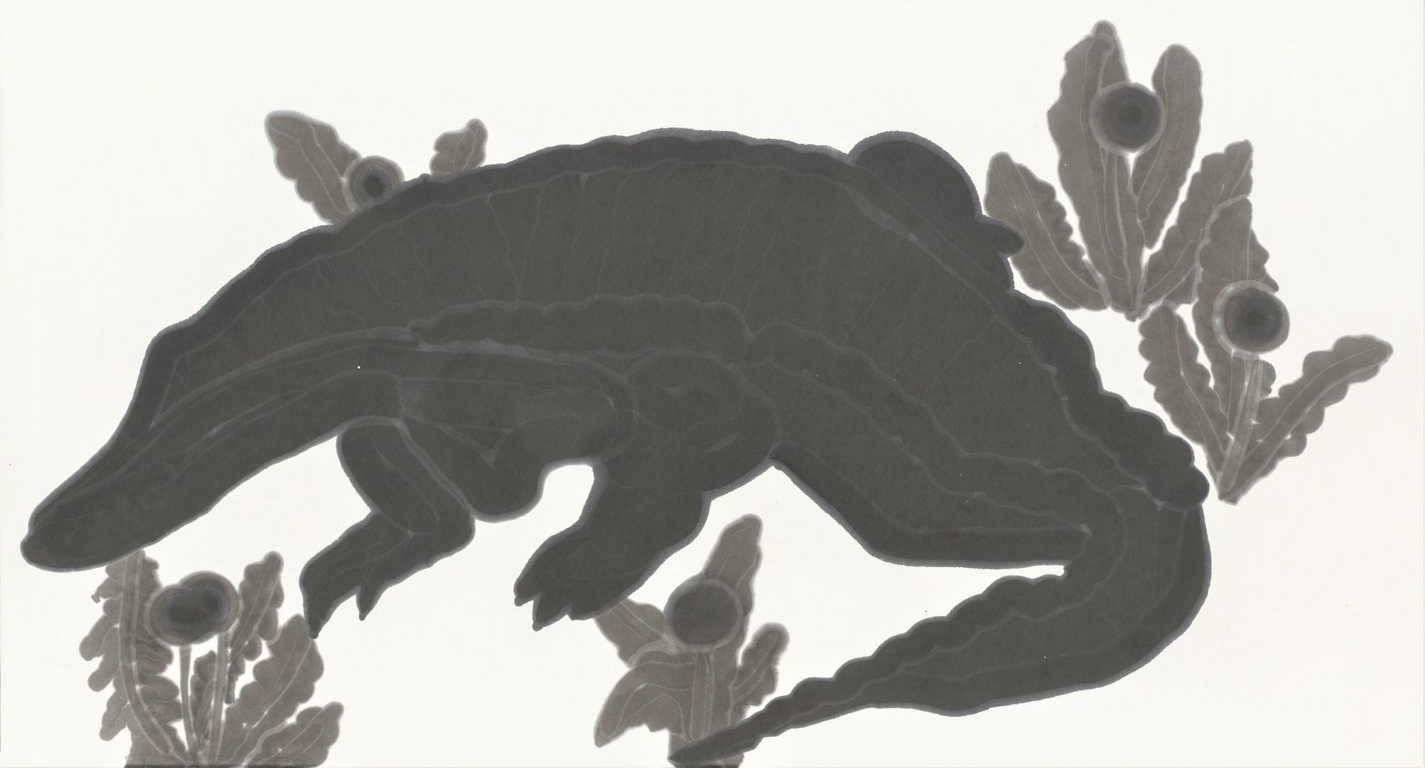 厚度為 0 的縐紗