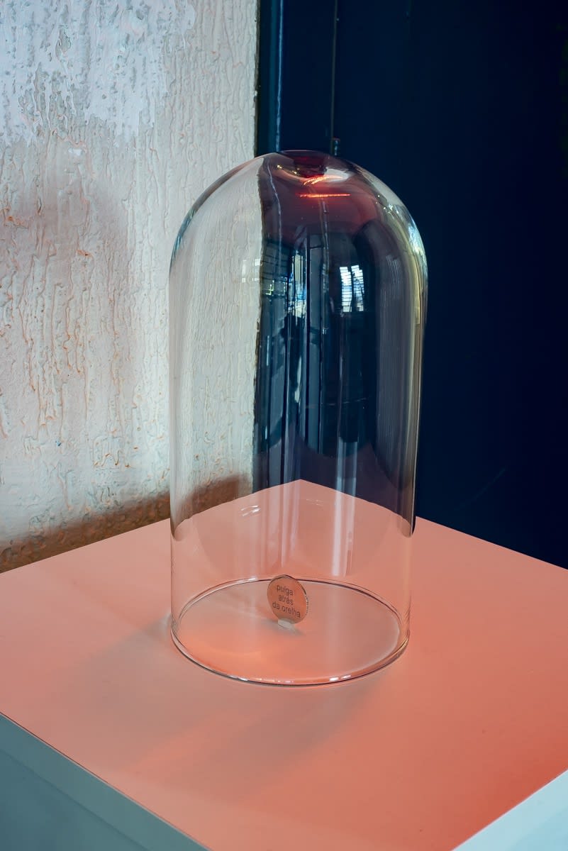 Exhibition view. Nos Resta Ser Feliz (We Can Only Be Happy). SOMA Gallery, 2022. Photo: Kraw Penas.