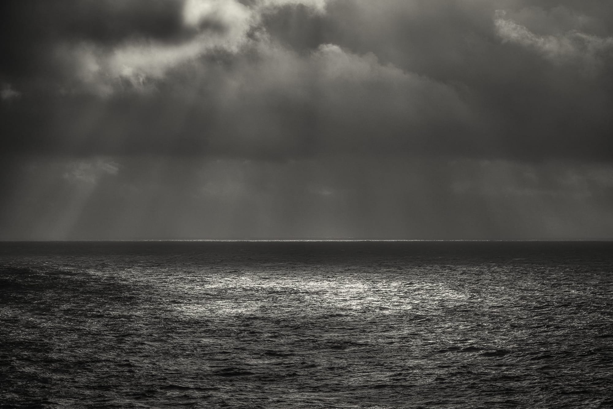 MONOCHROME: A Study in Light and Shadow