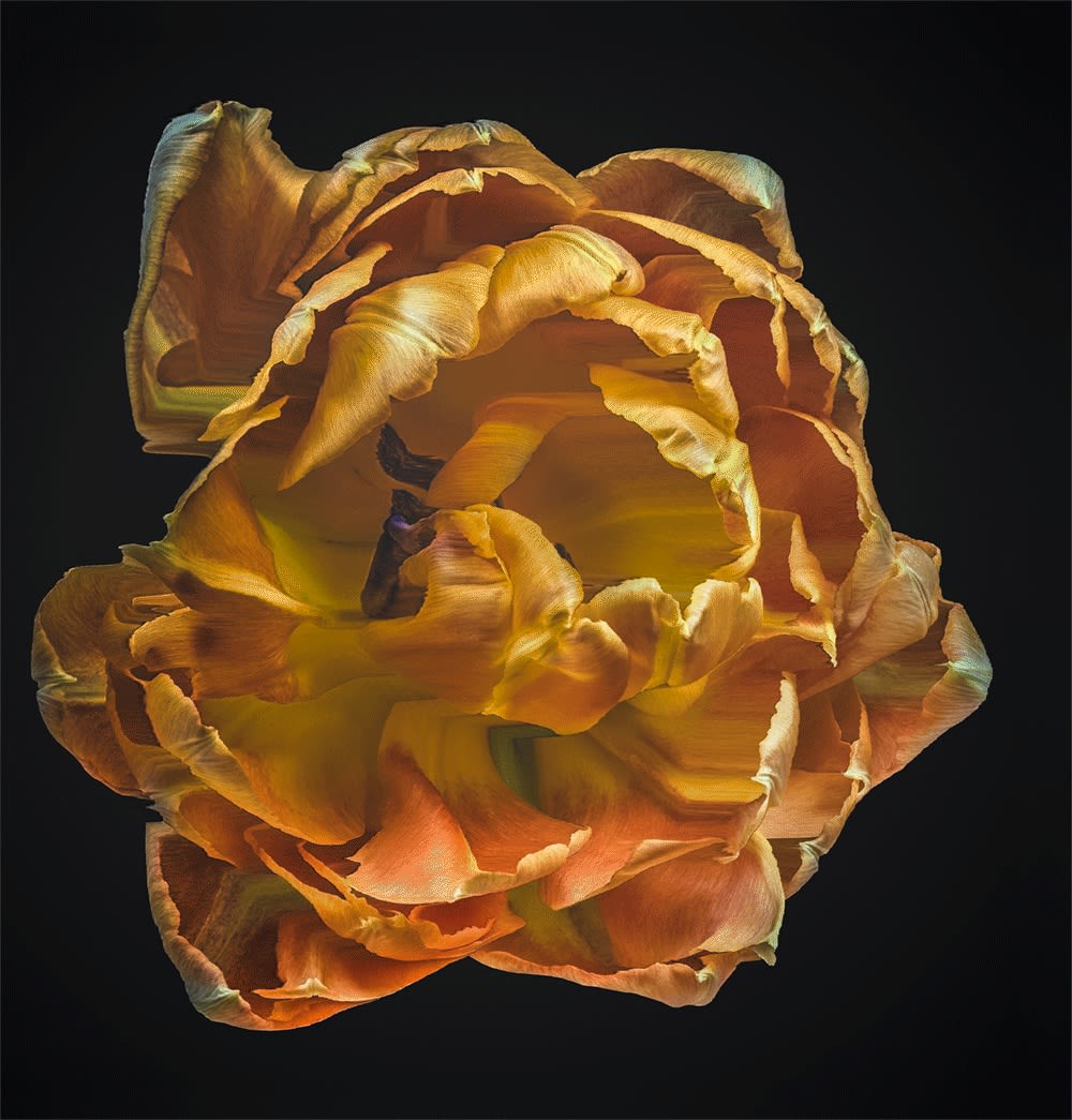 Seattle Art Fair 2024