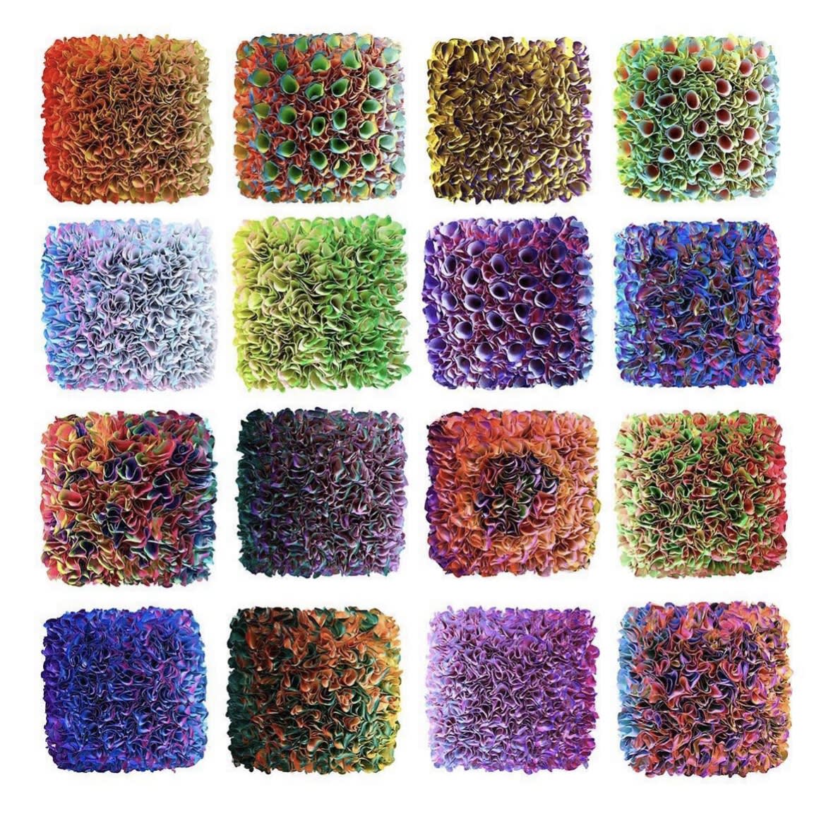 Zhuang Hong Yi Mini Flowerbed Series 20 x 20 cm / 7.9 x 7.9 inch Available separately