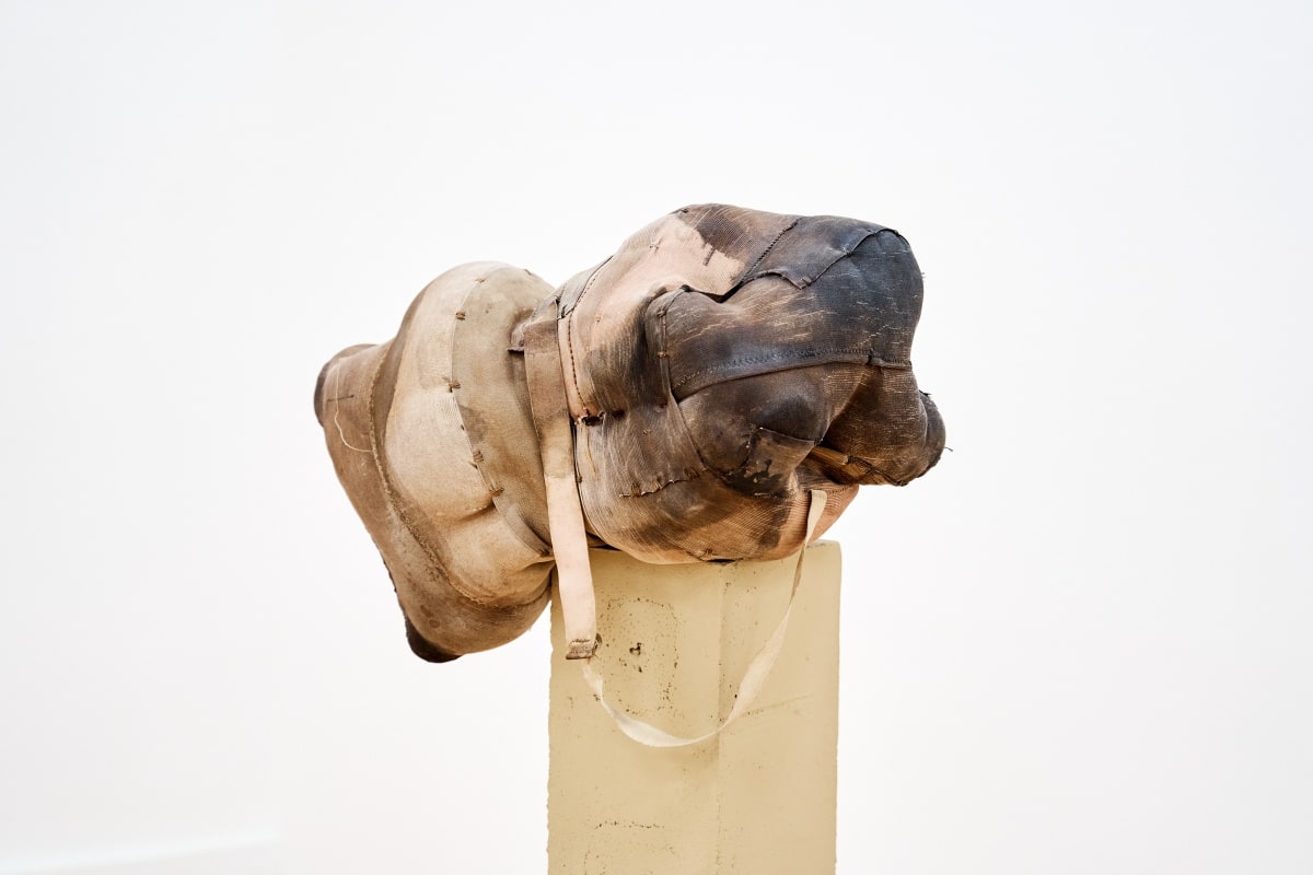 Patricia Ayres, Untitled, 2021
