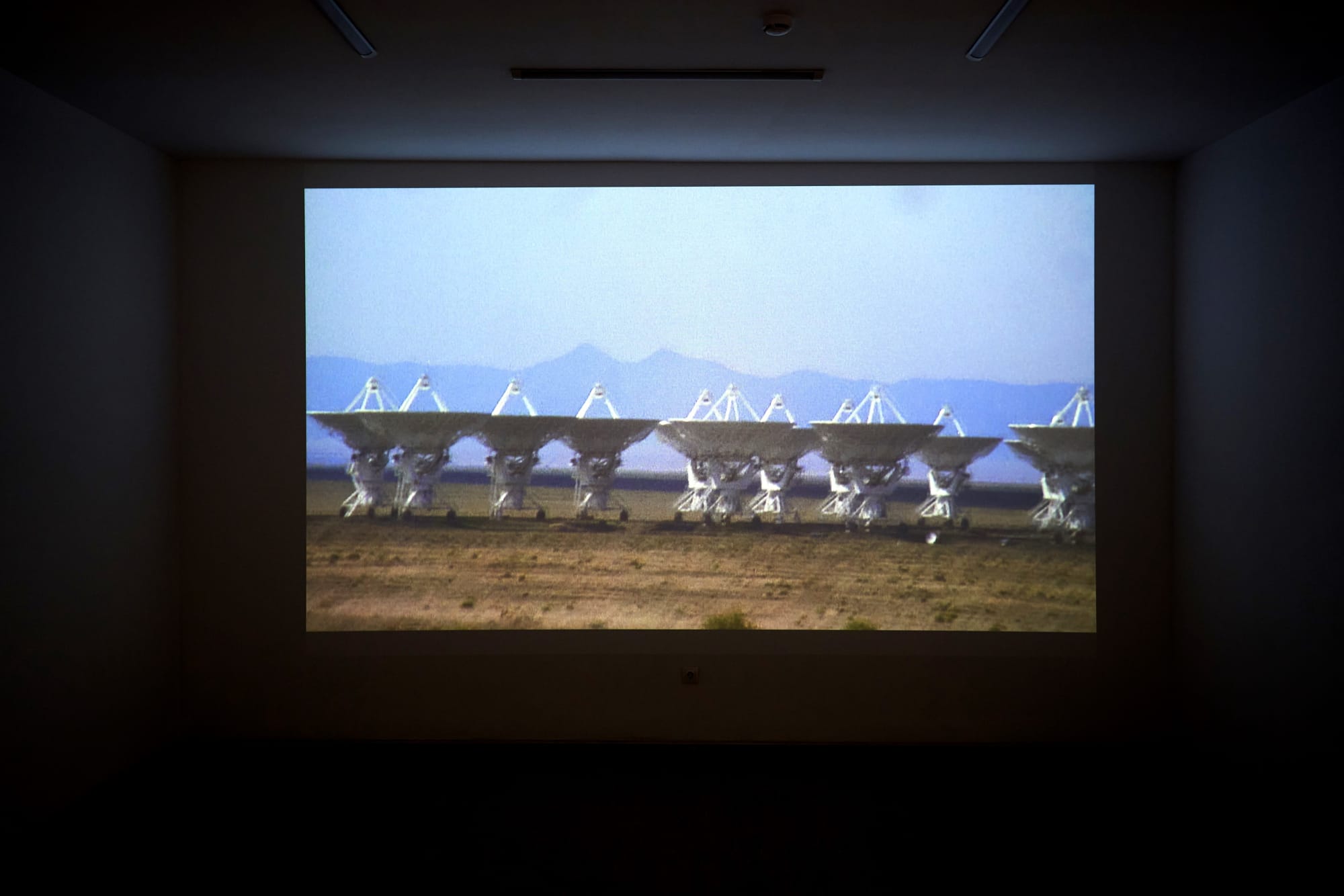 The New (Sur)Realism, 2020, installation view.