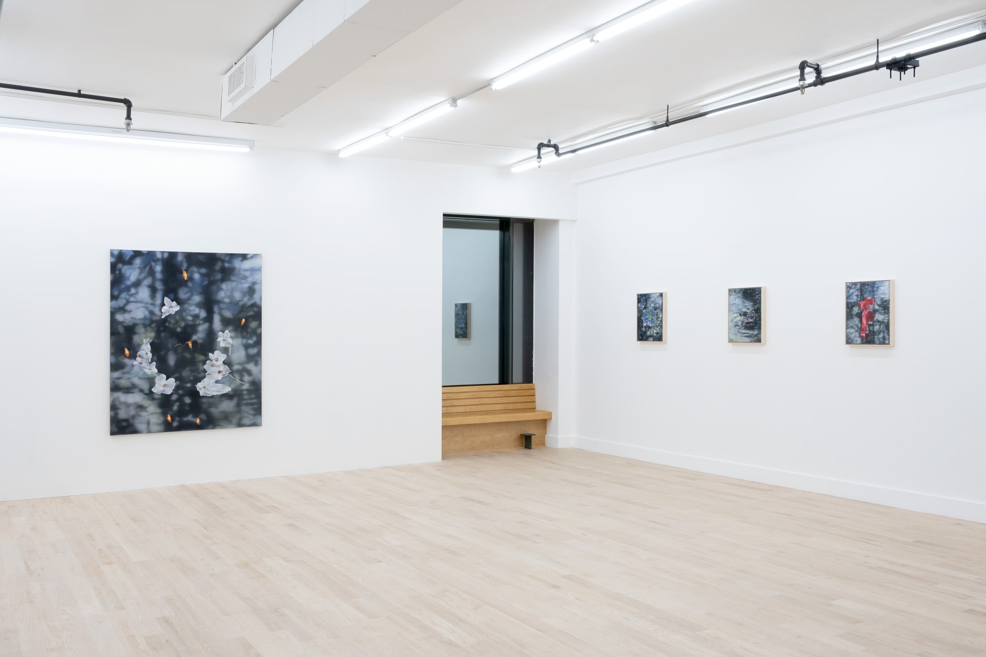 Martina Grlic, Hypermnesia II, installation view. Photo: Inna Svyatsky