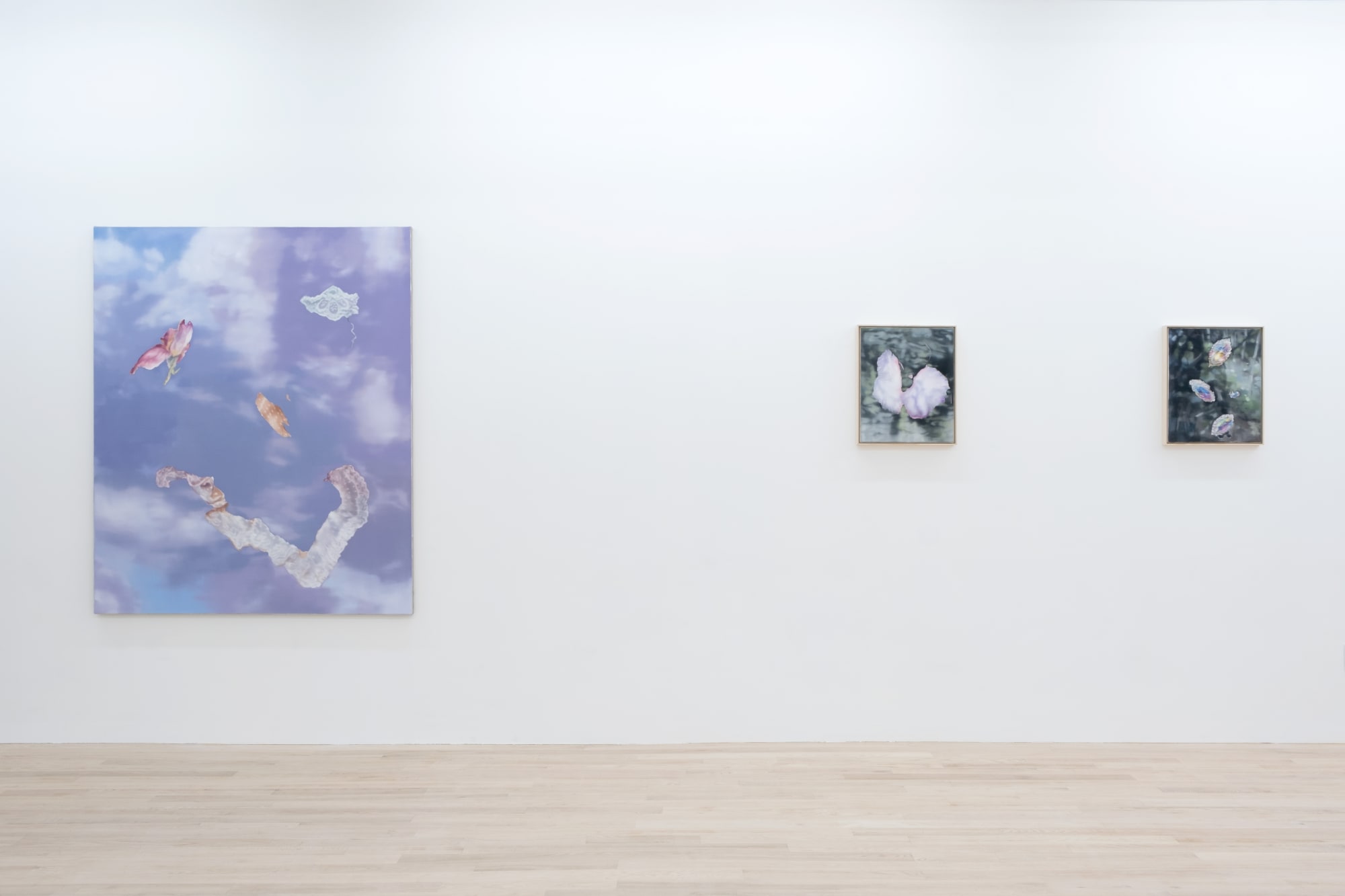 Martina Grlic, Hypermnesia II, installation view. Photo: Inna Svyatsky