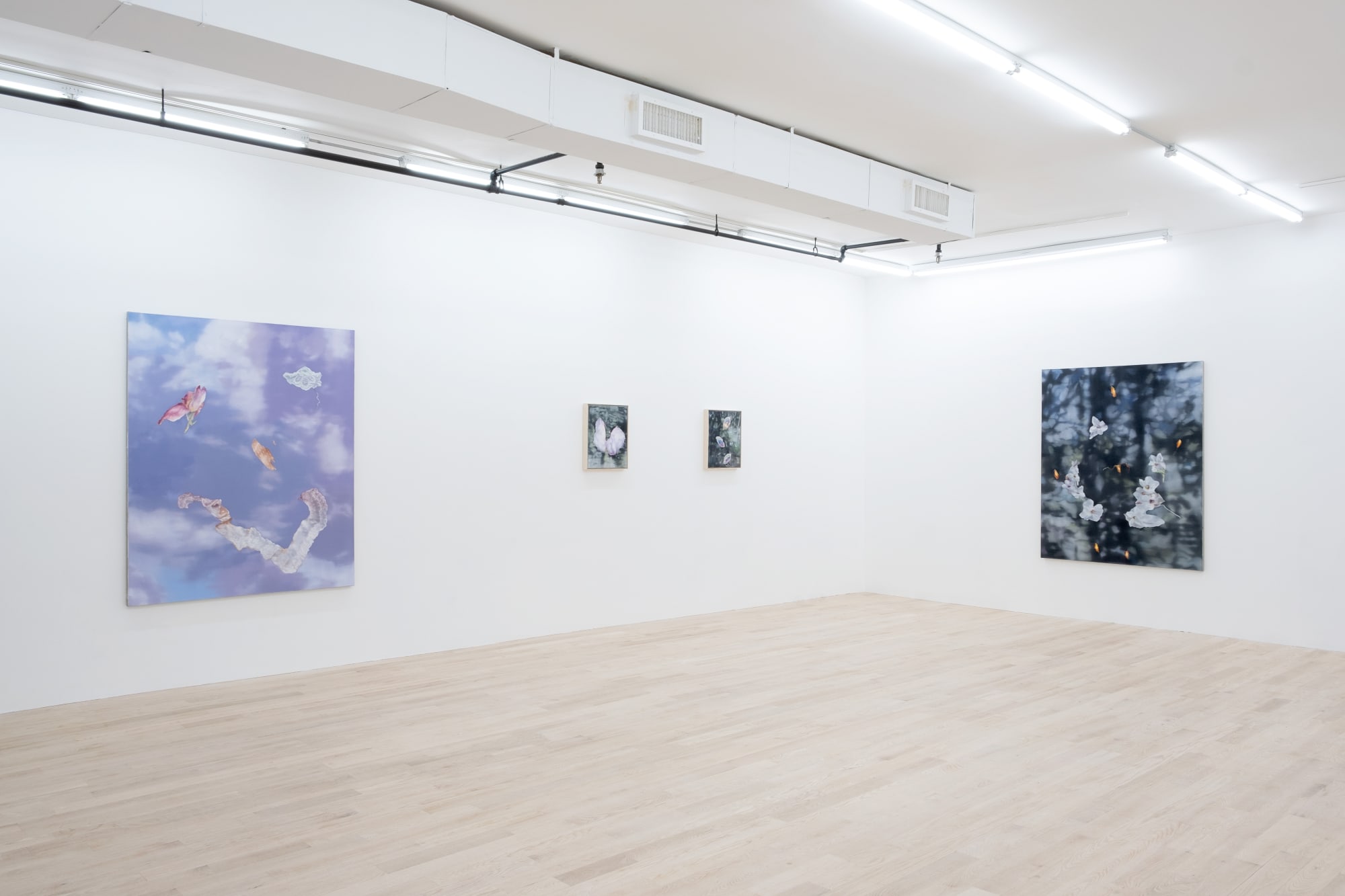 Martina Grlic, Hypermnesia II, installation view. Photo: Inna Svyatsky