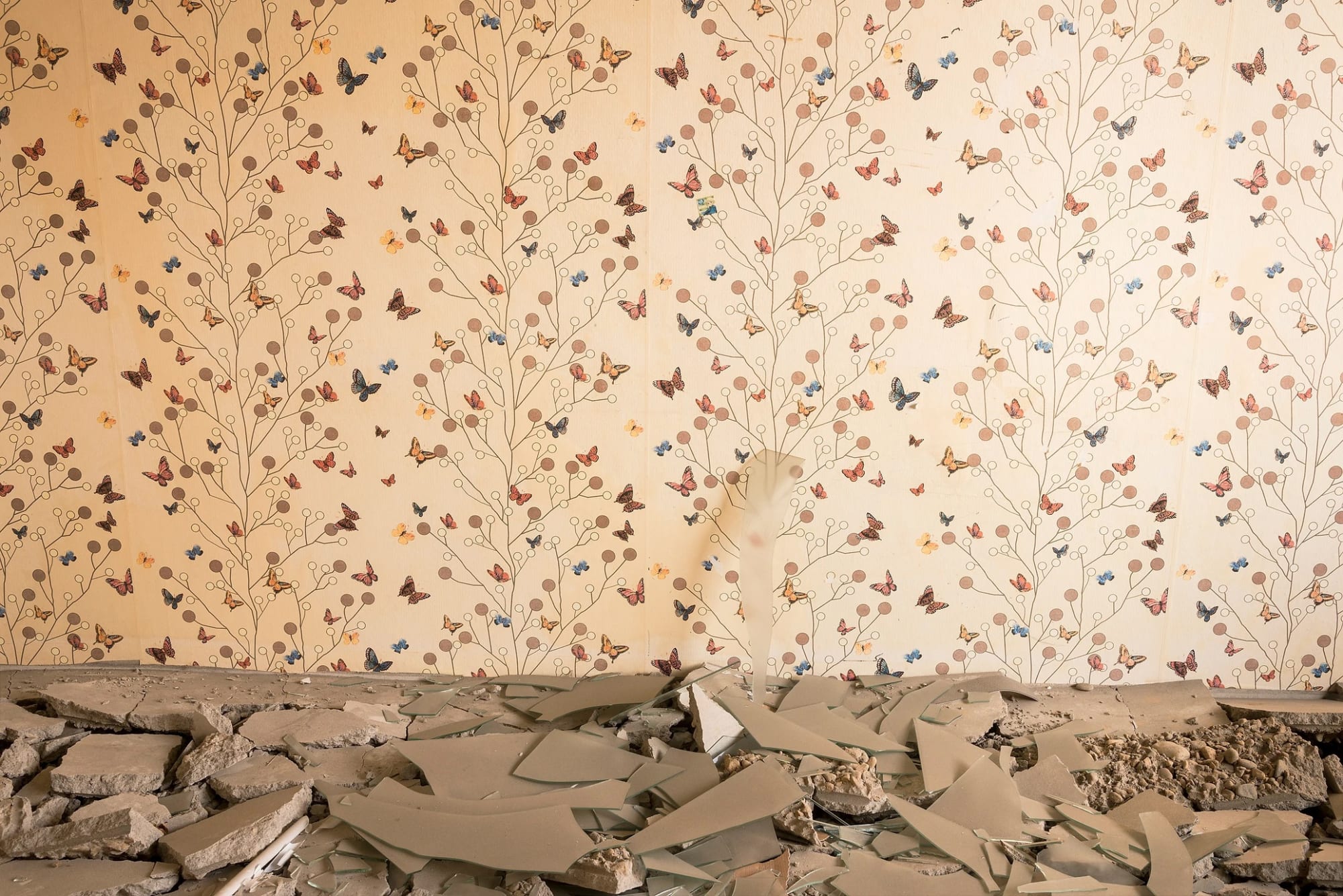 ​박기호 : Memories of Space - 공간의 기억