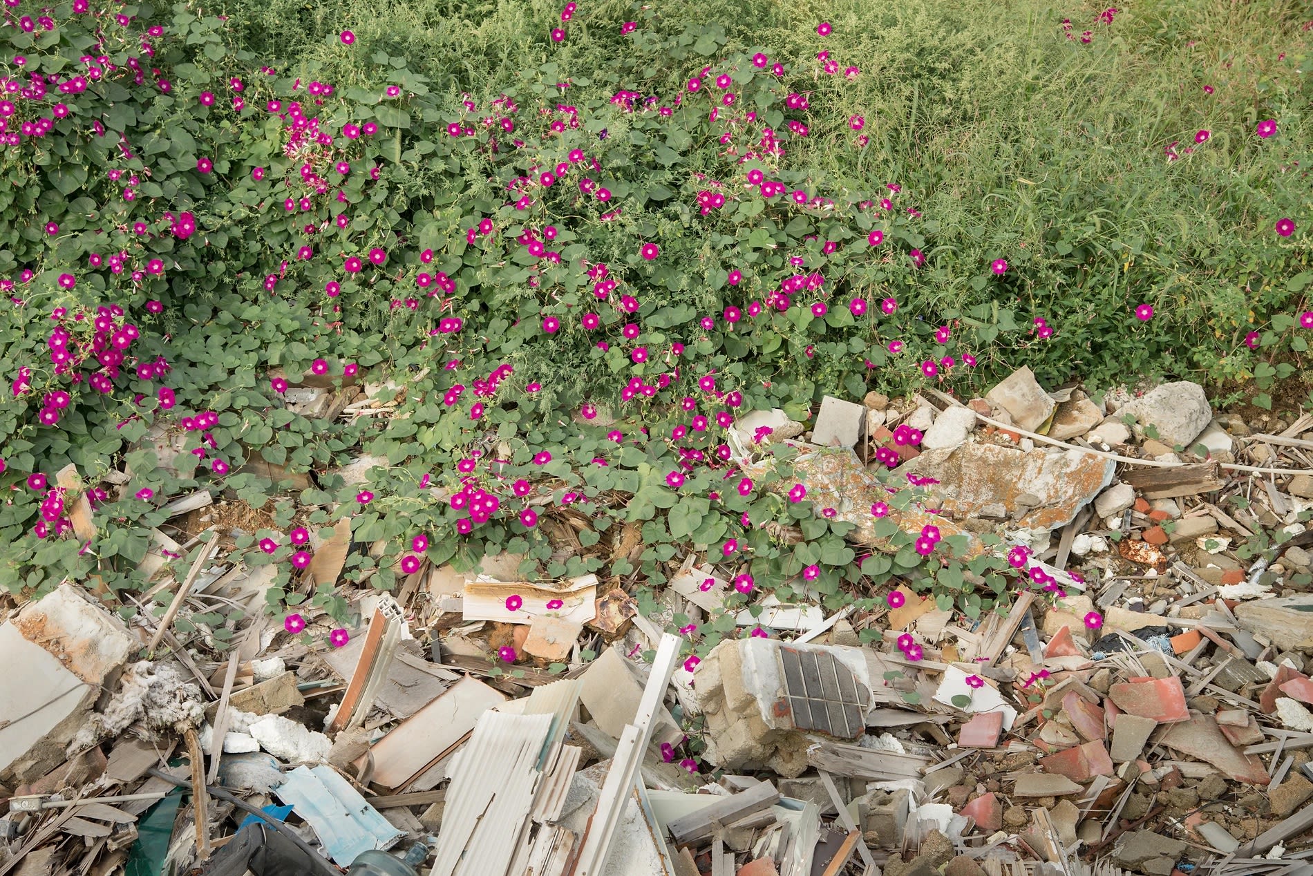 ​박기호 : Memories of Space - 공간의 기억