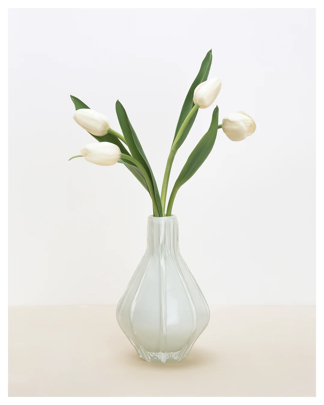 김용훈 : 오색찬란